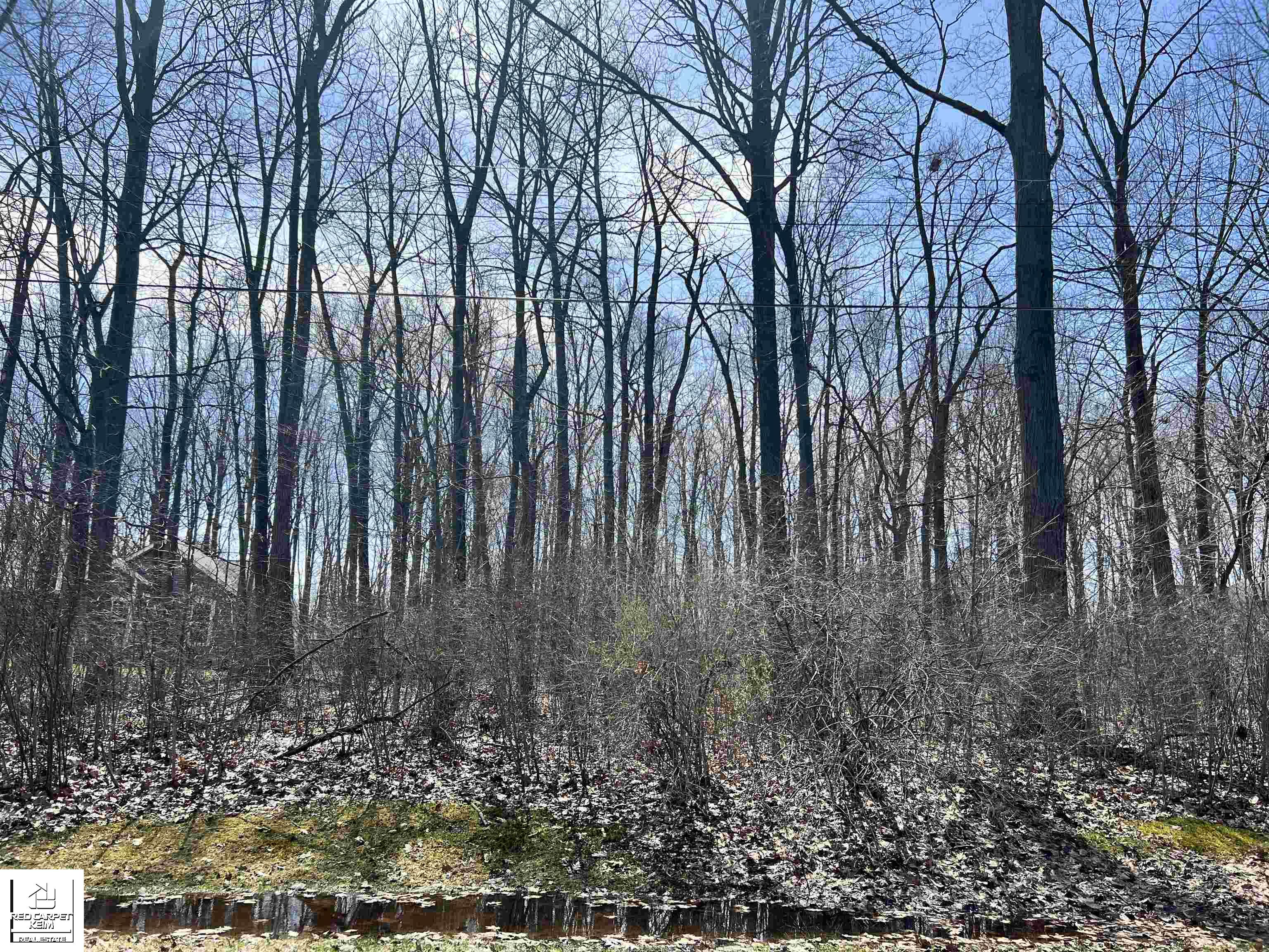 Schoolcraft Drive Property Photo 2