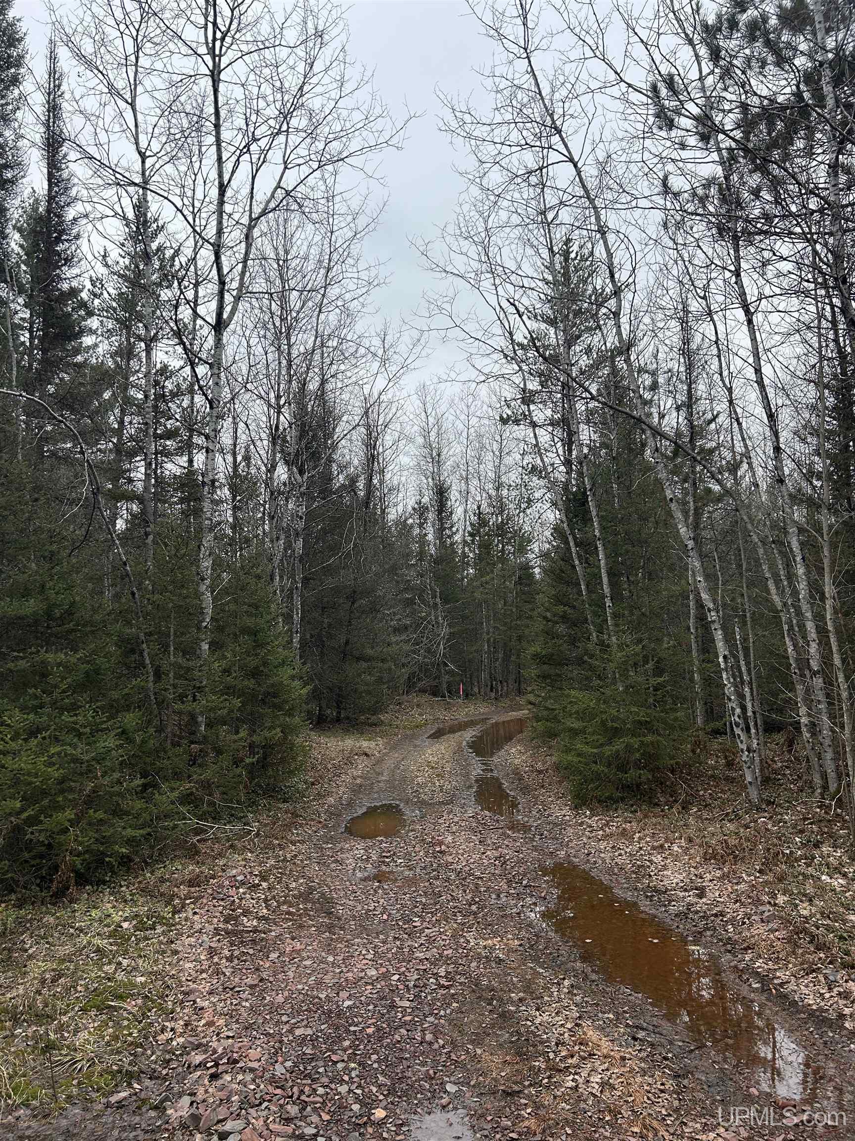 Parcel 6 Off Johnson Lake Road Property Photo 1