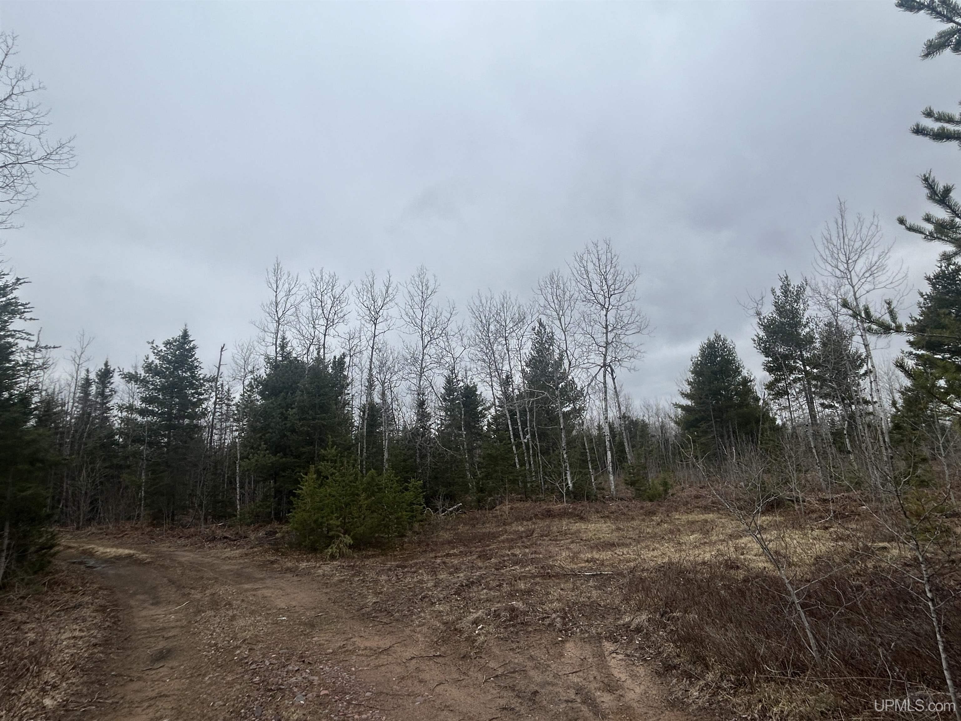Parcel 6 Off Johnson Lake Road Property Photo 2