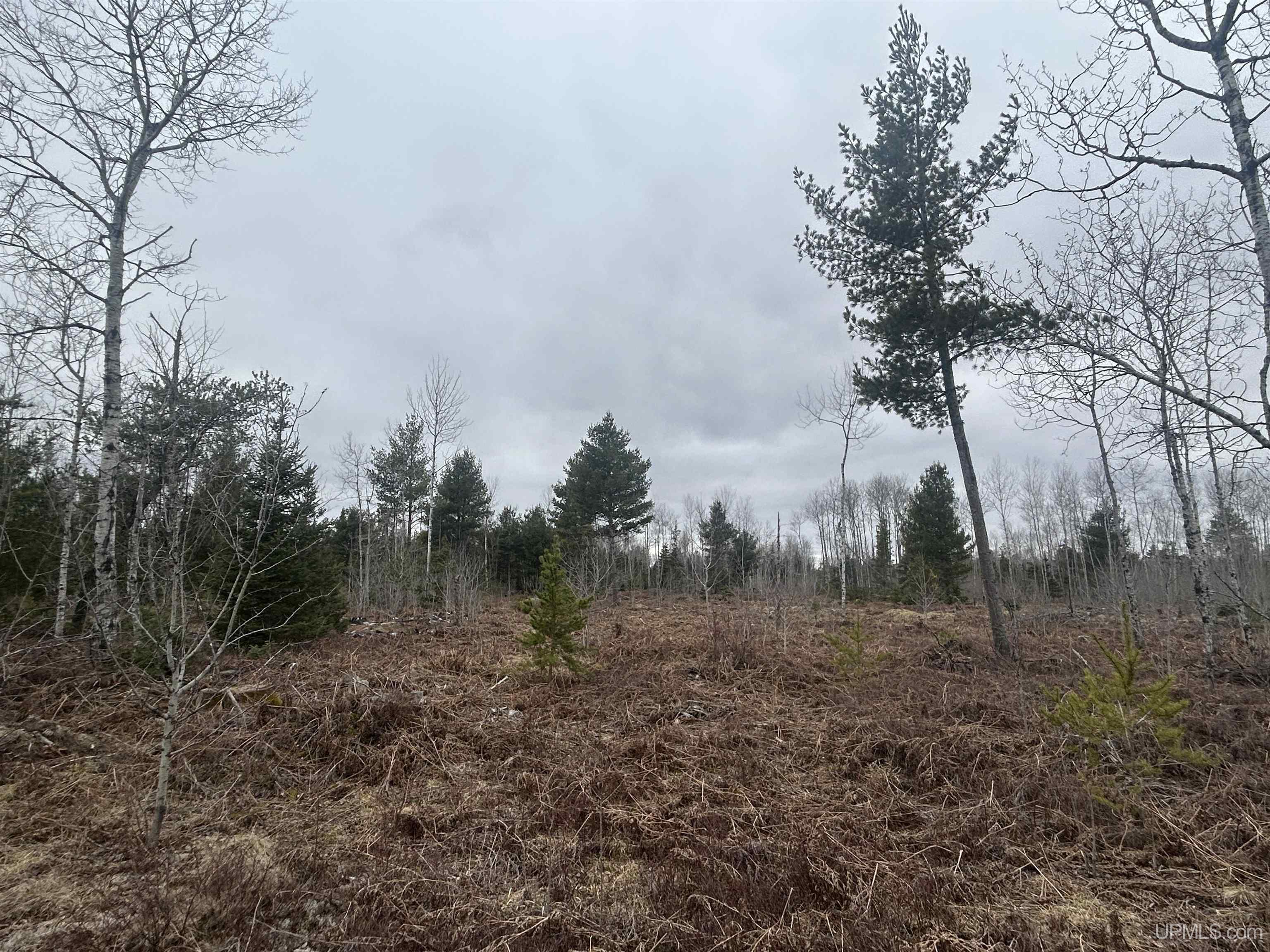 Parcel 6 Off Johnson Lake Road Property Photo 3