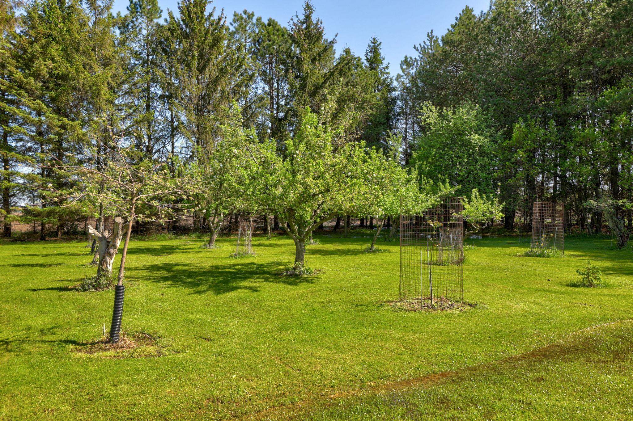 4285 N Iva Road Property Photo 84