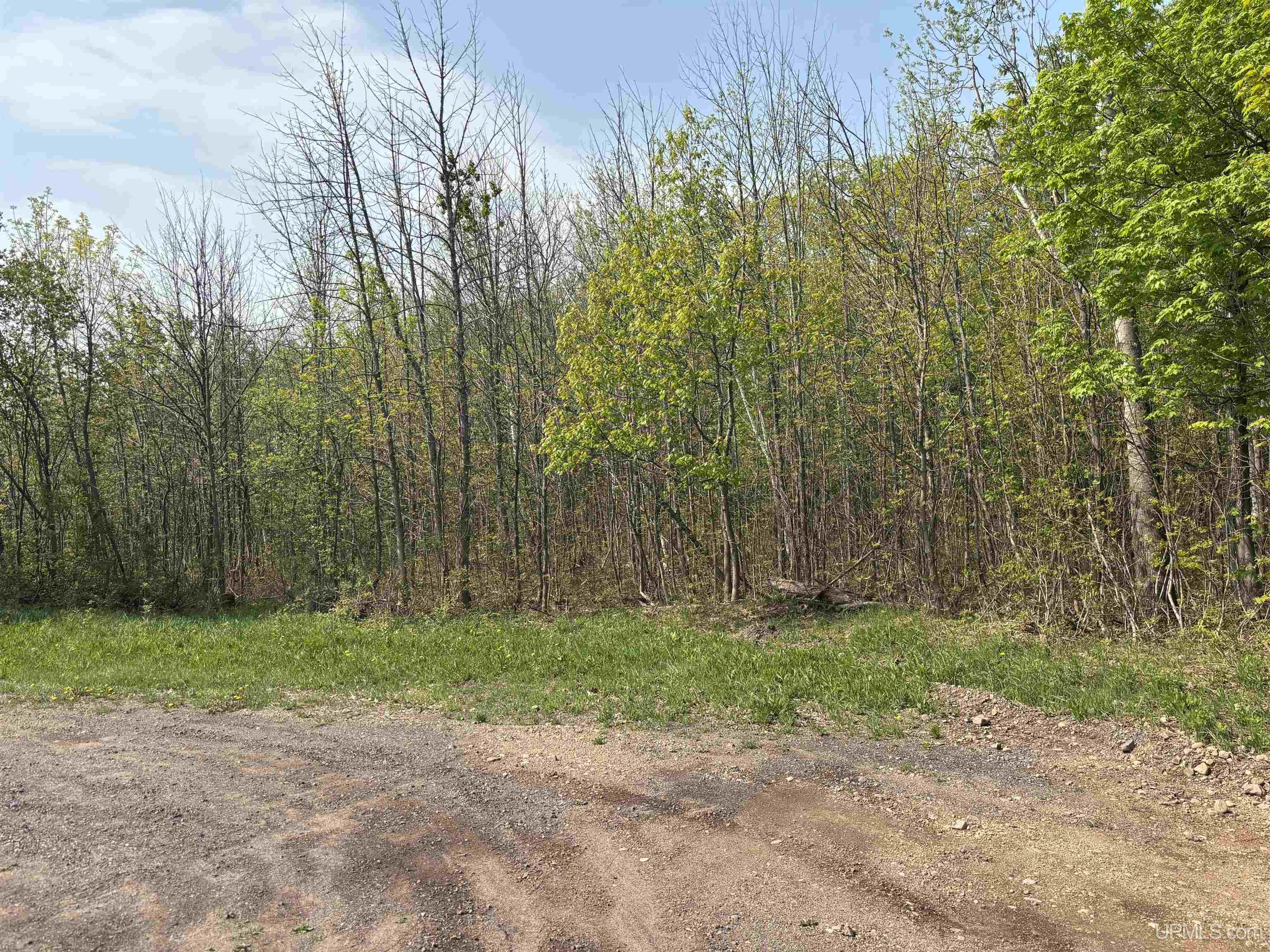 Tbd B Gorton Road Property Photo 1