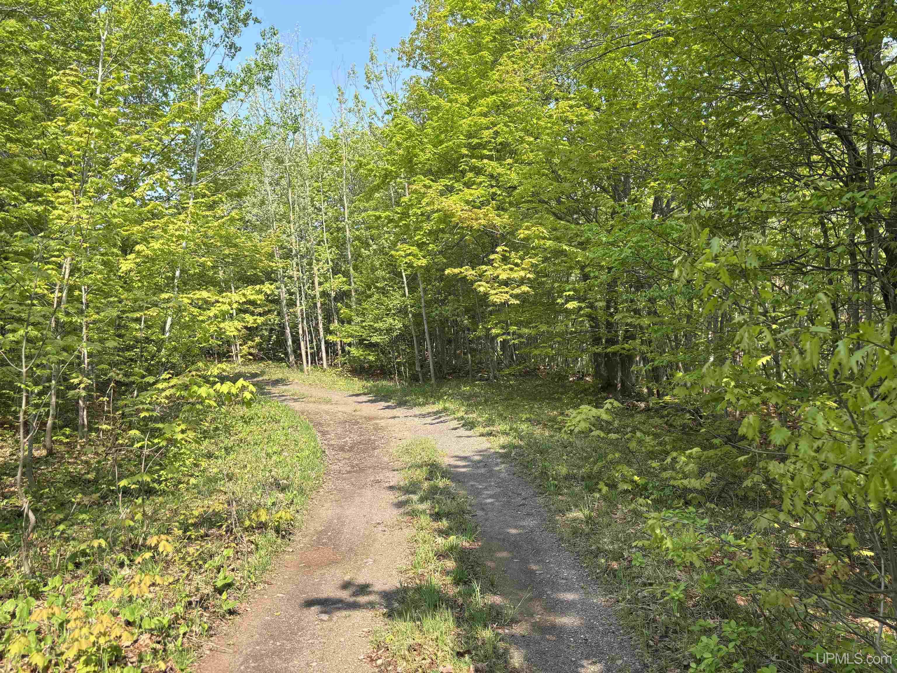 Tbd B Gorton Road Property Photo 3