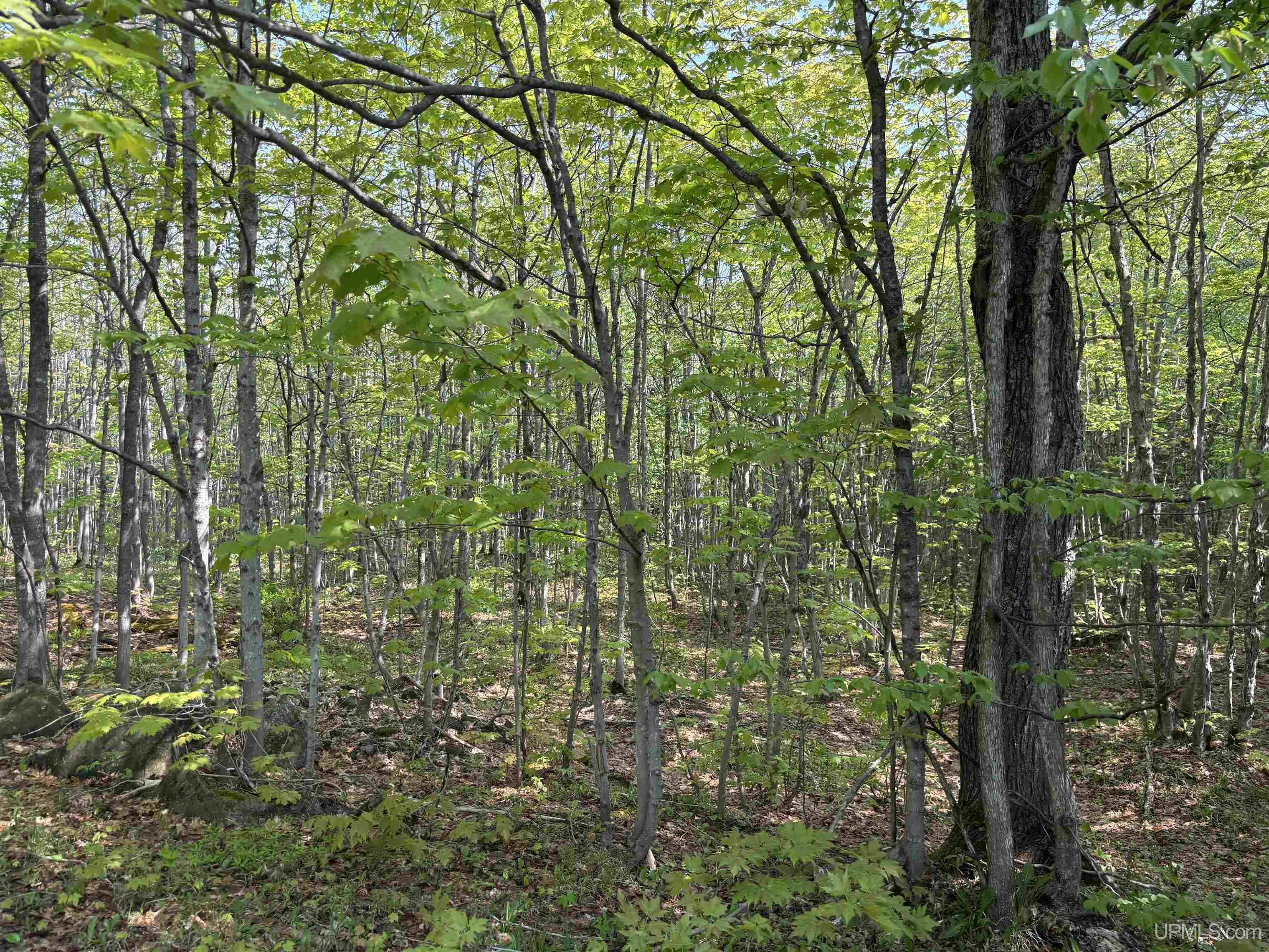 Tbd B Gorton Road Property Photo 16