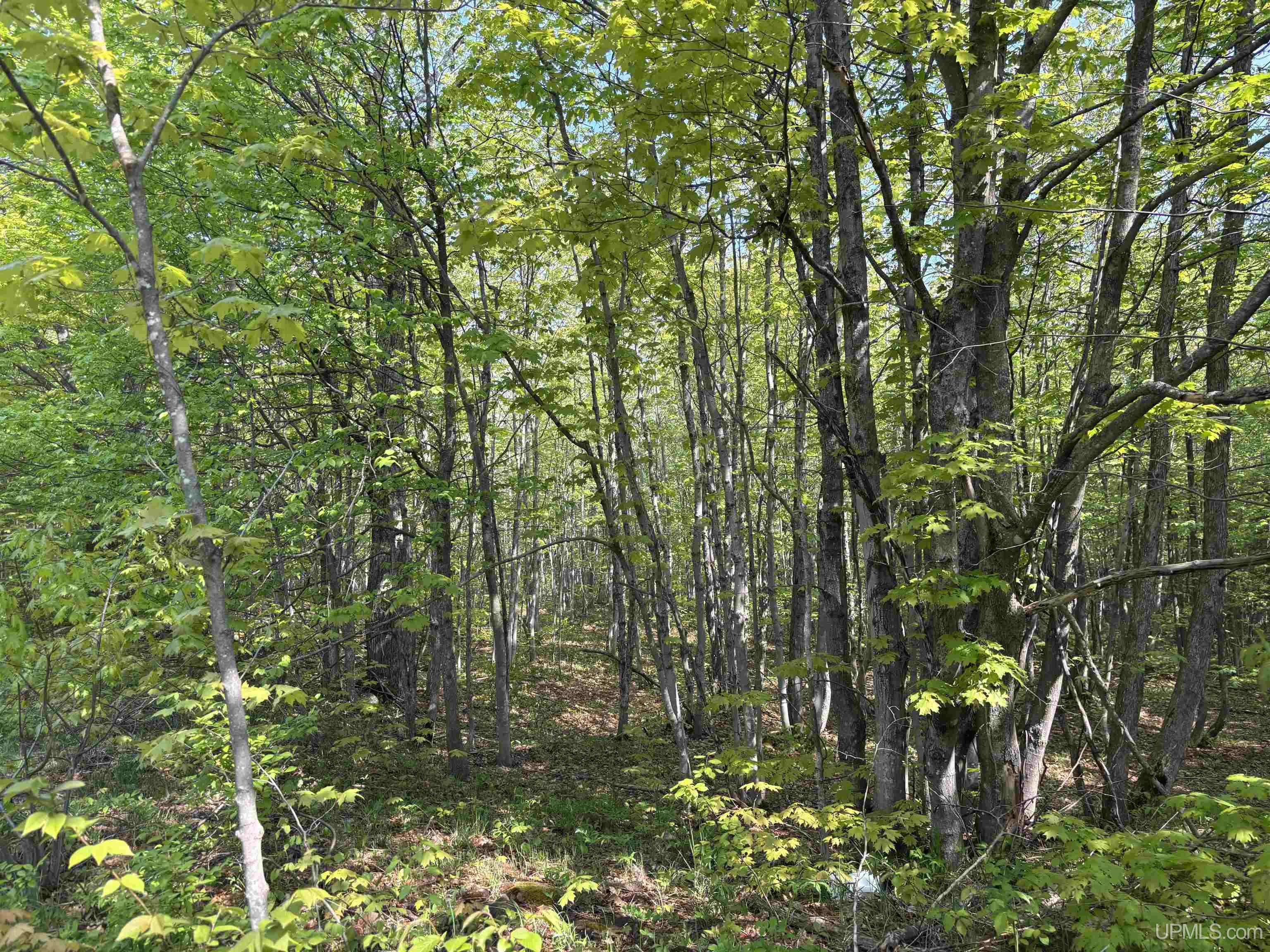 Tbd B Gorton Road Property Photo 18