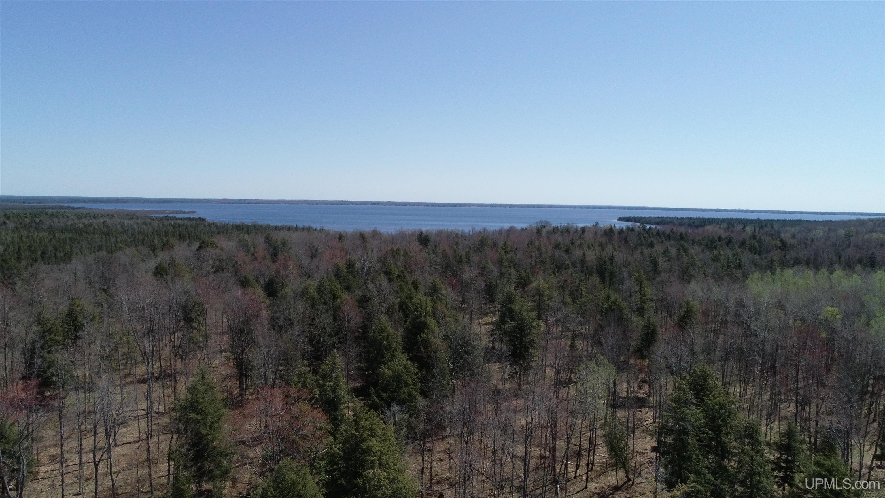 1263 M149 Highway Property Photo 48