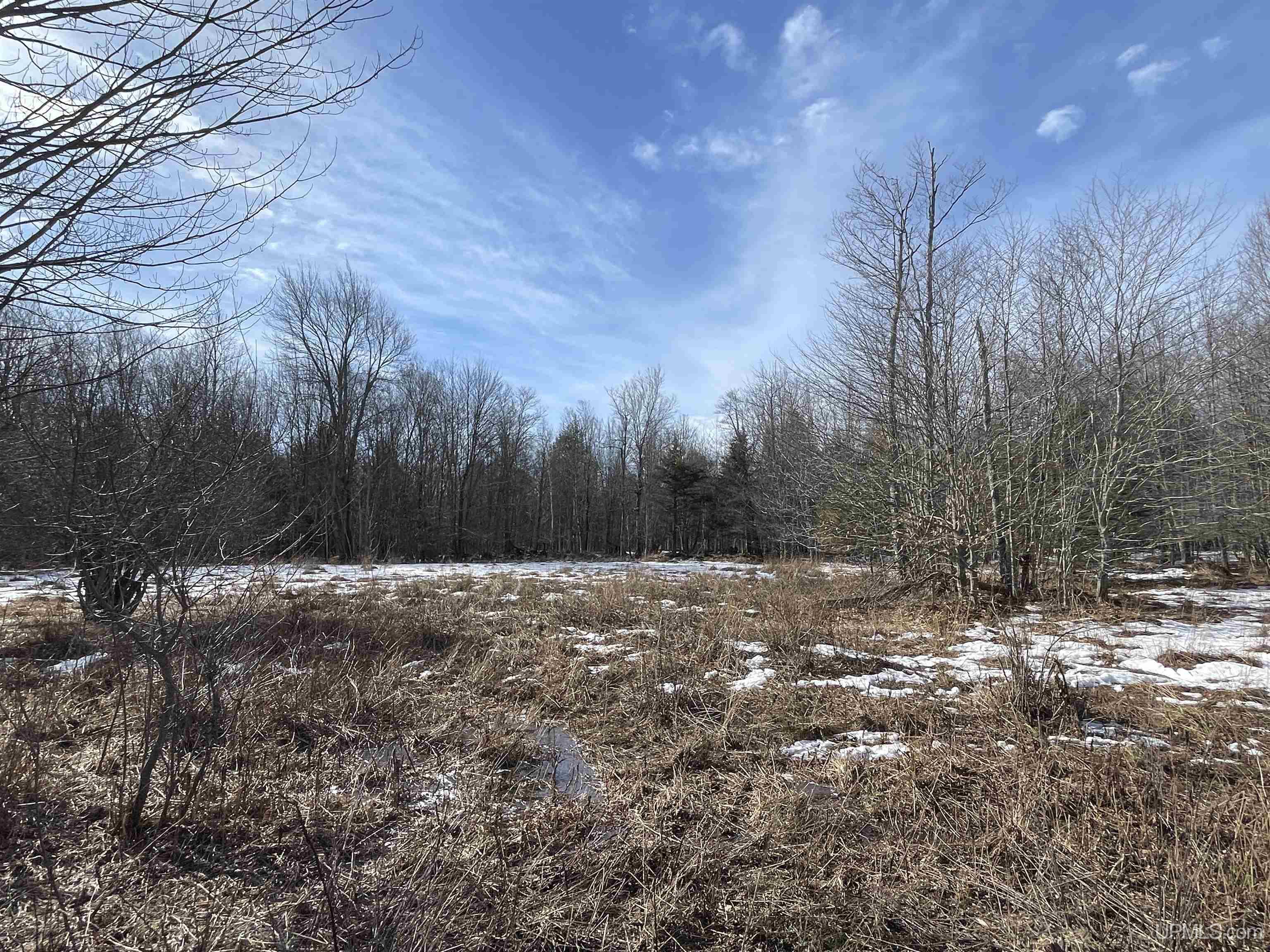 1263 M149 Highway Property Photo 66