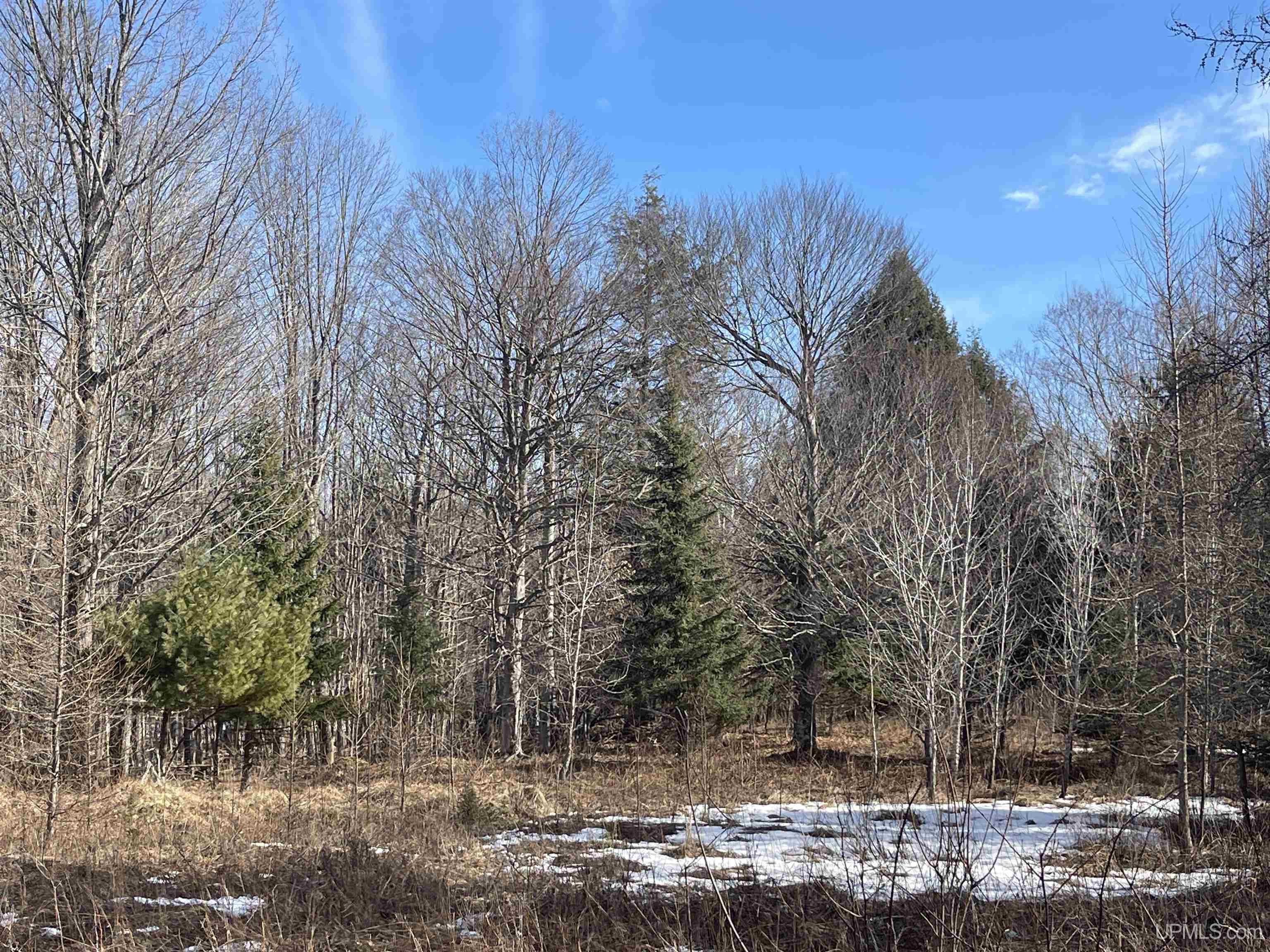 1263 M149 Highway Property Photo 67