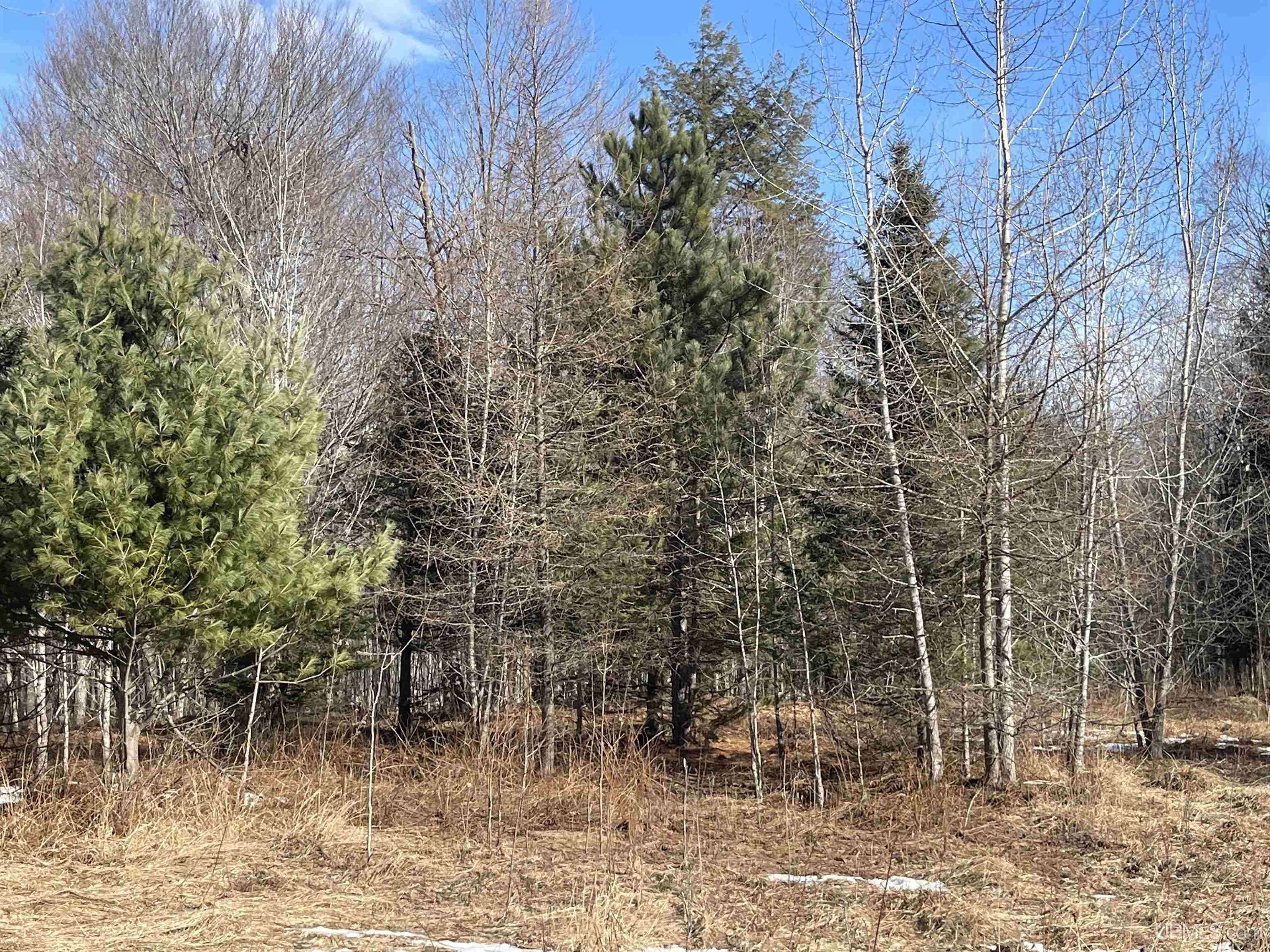 1263 M149 Highway Property Photo 68