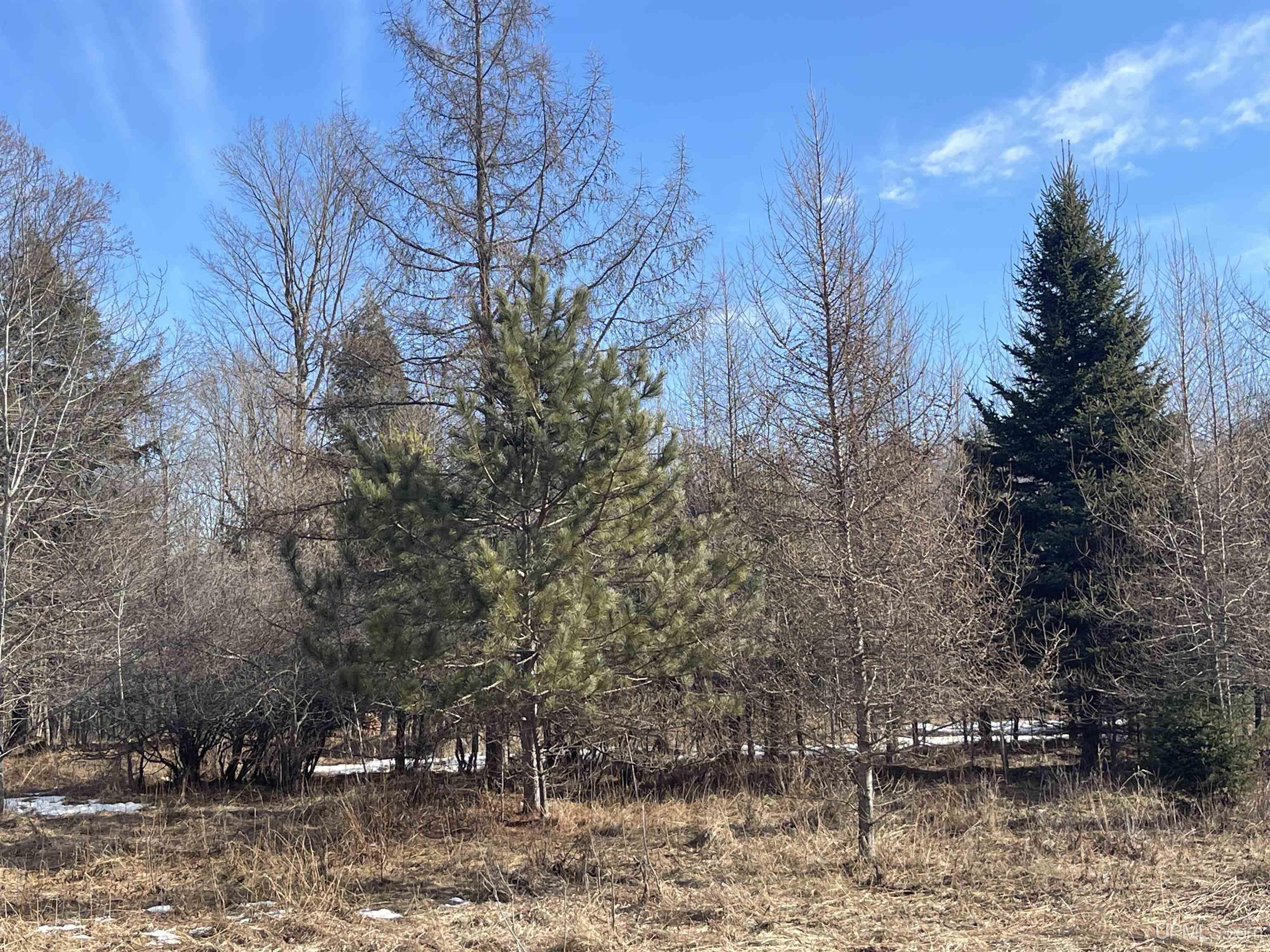 1263 M149 Highway Property Photo 69