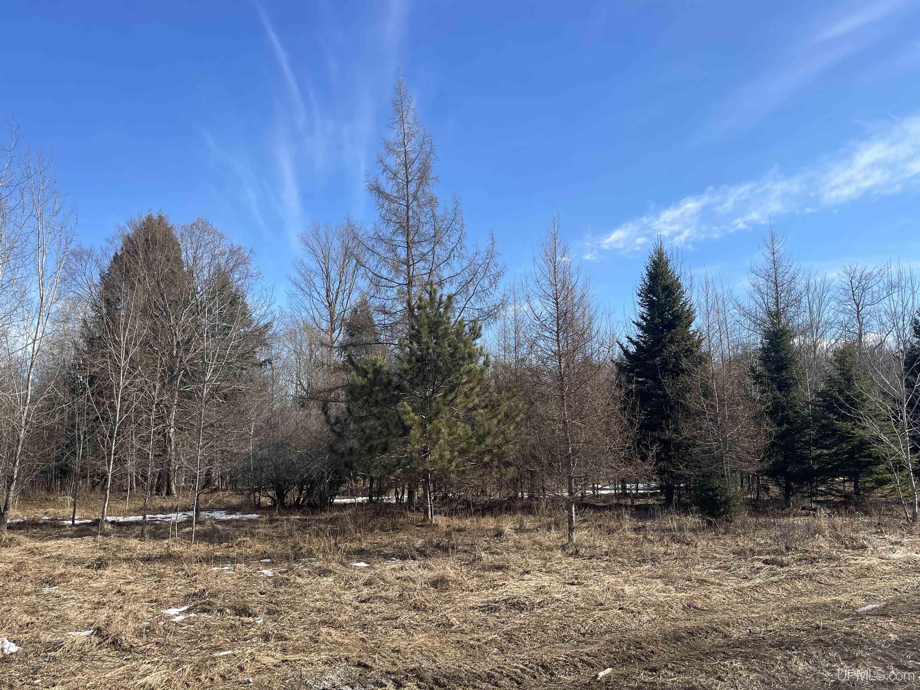 1263 M149 Highway Property Photo 70