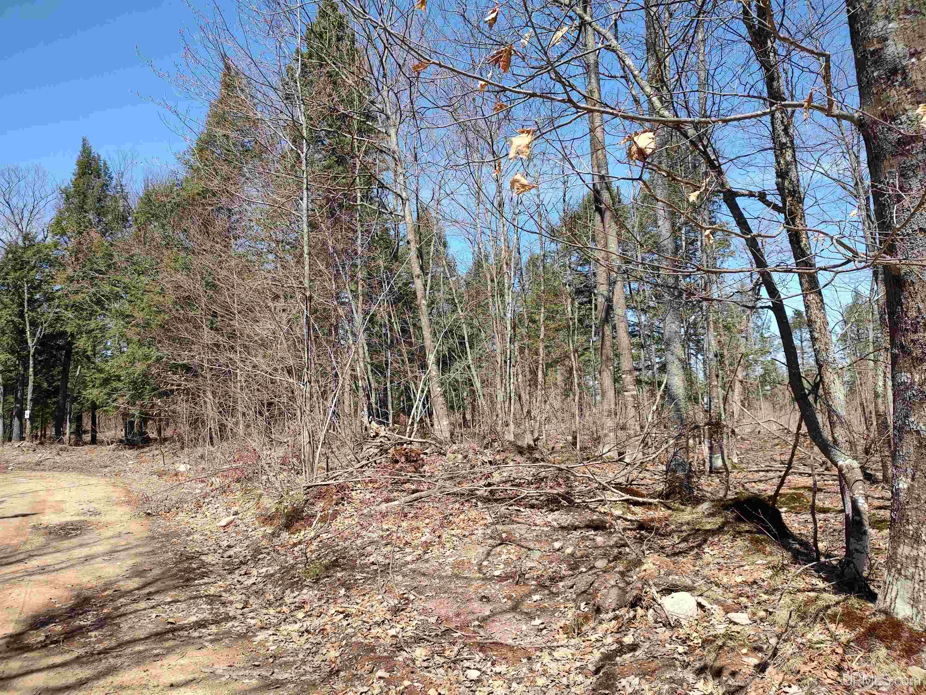 Tbd Black Creek (east) Road Property Photo 2