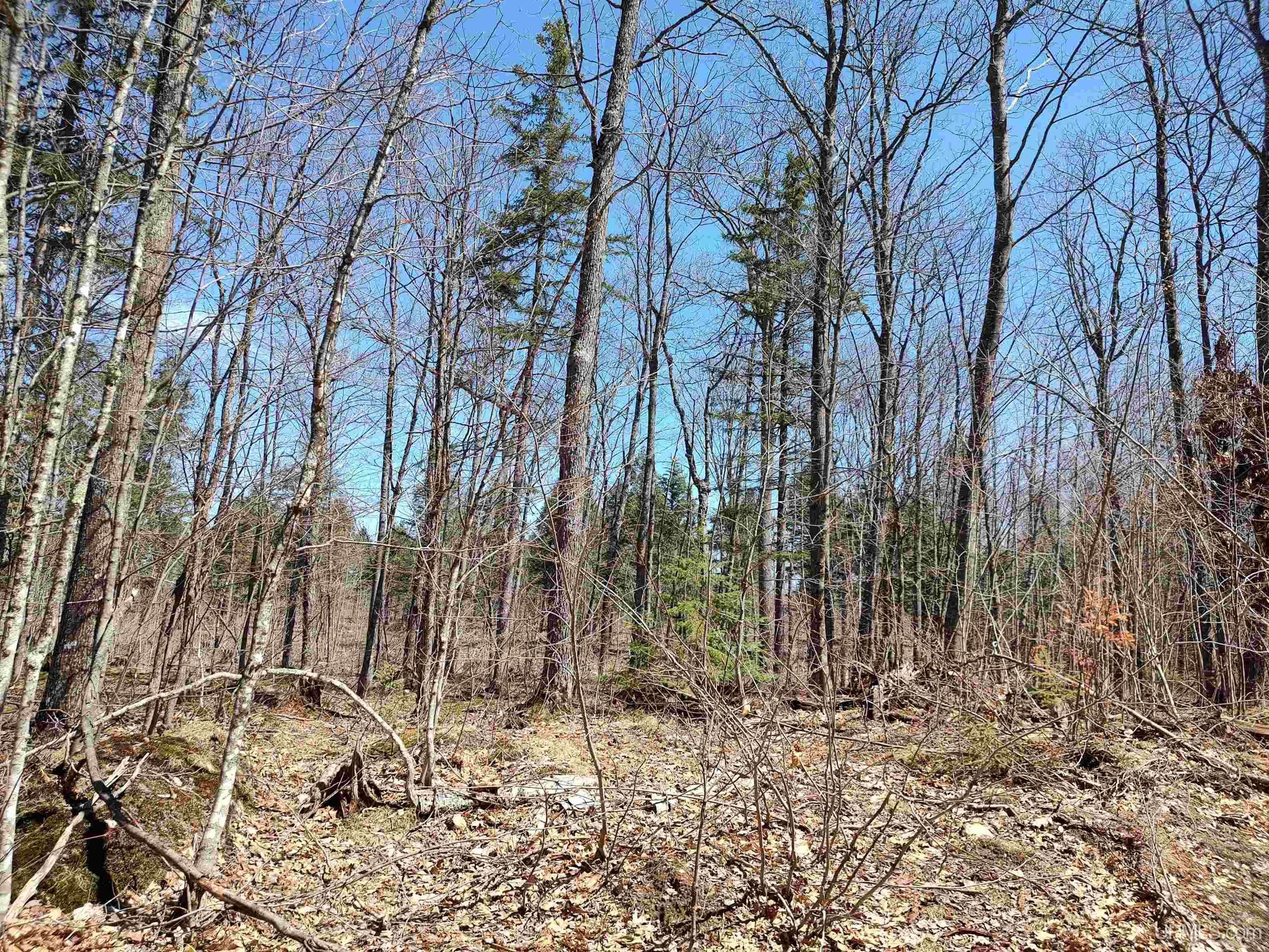 Tbd Black Creek (east) Road Property Photo 3