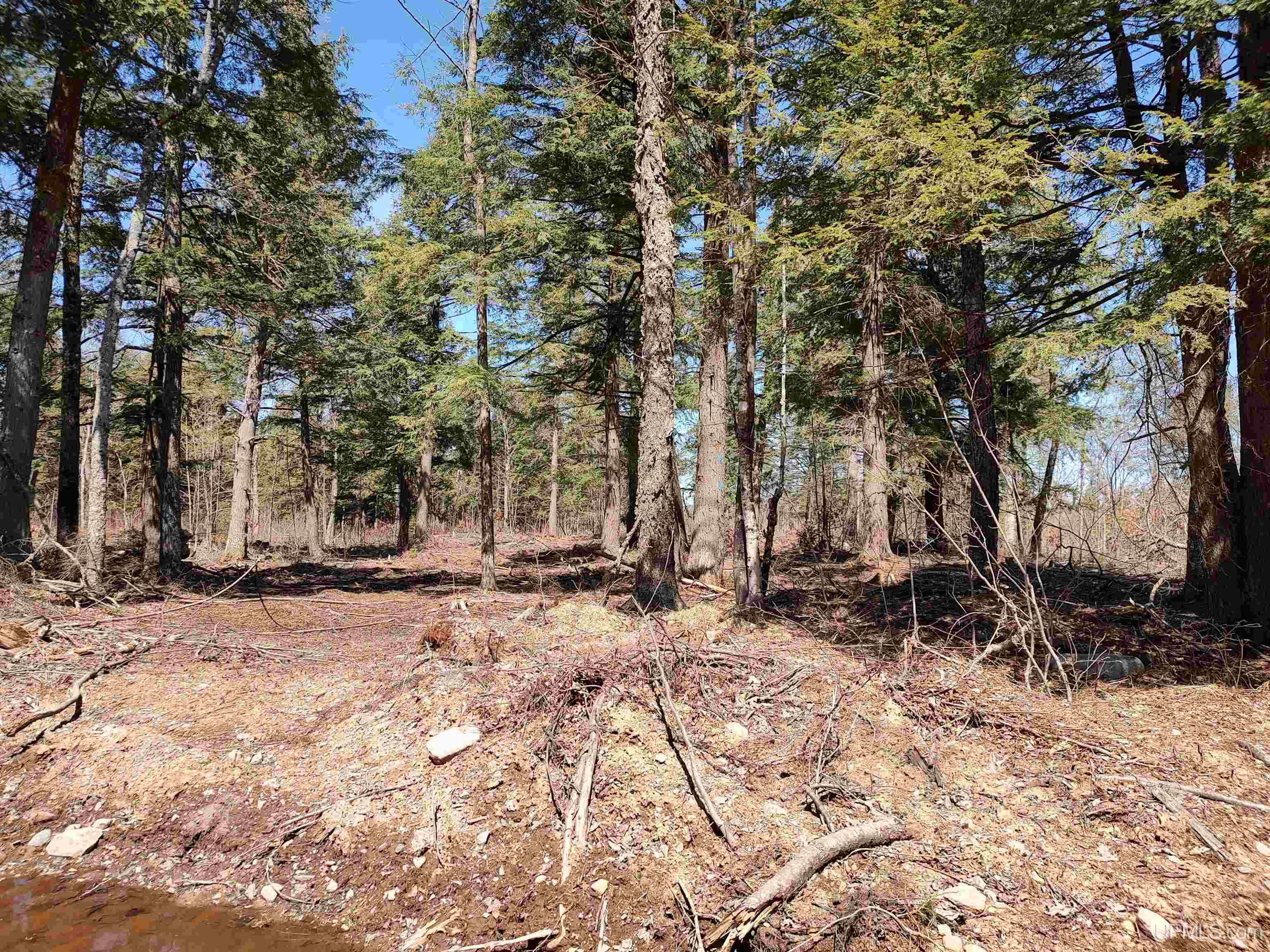 Tbd Black Creek (east) Road Property Photo 5