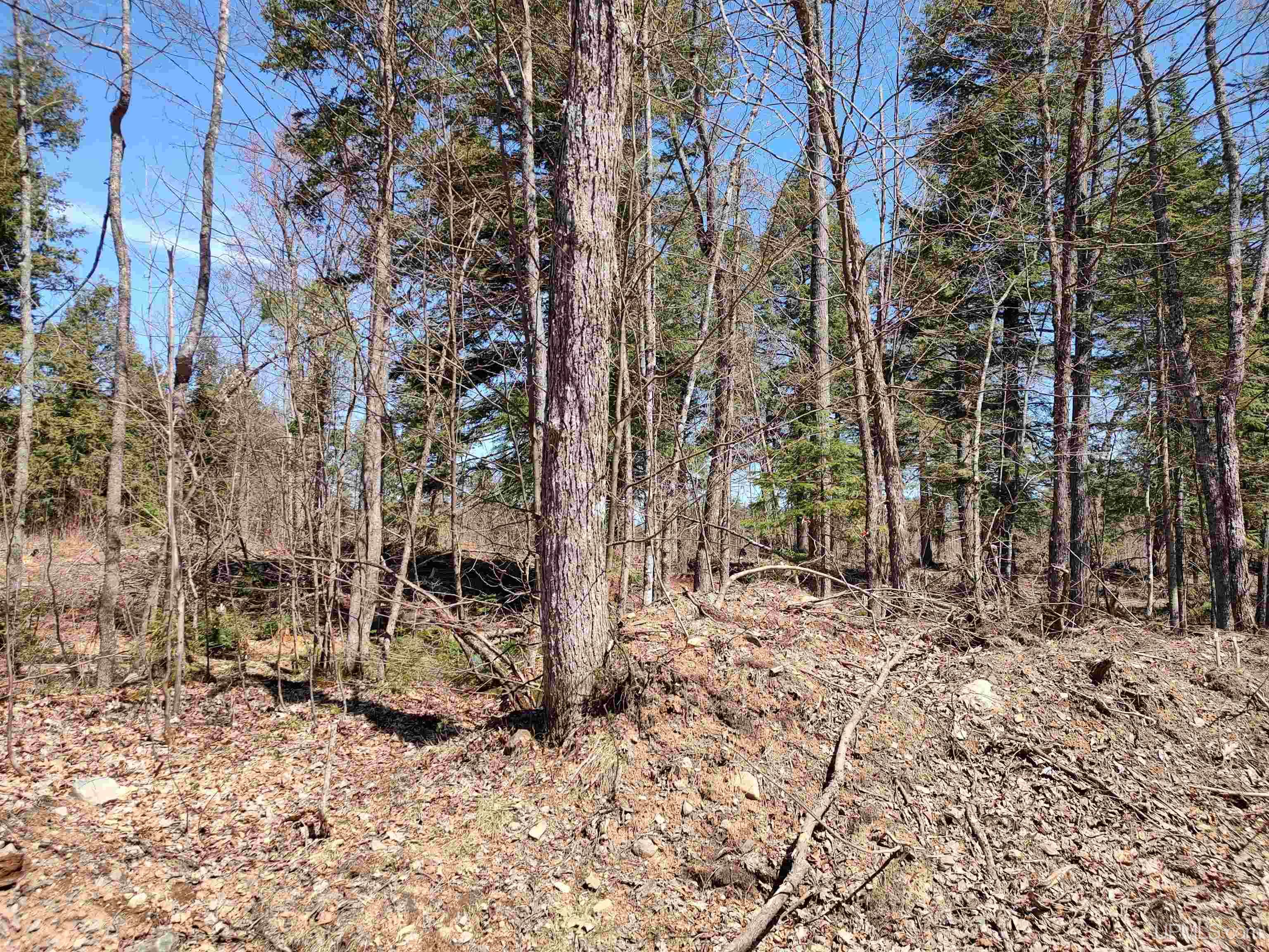 Tbd Black Creek (east) Road Property Photo 6