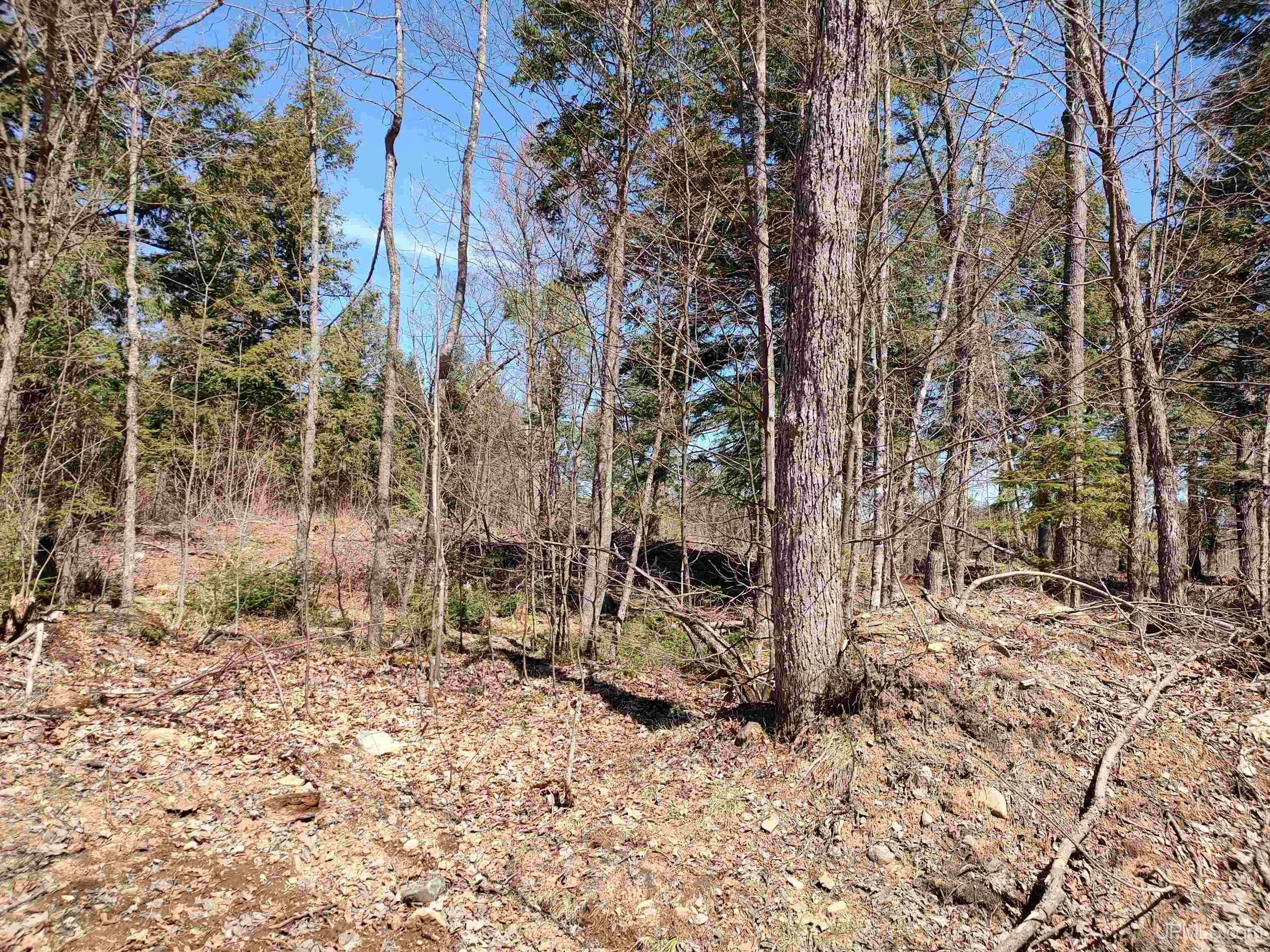Tbd Black Creek (east) Road Property Photo 7