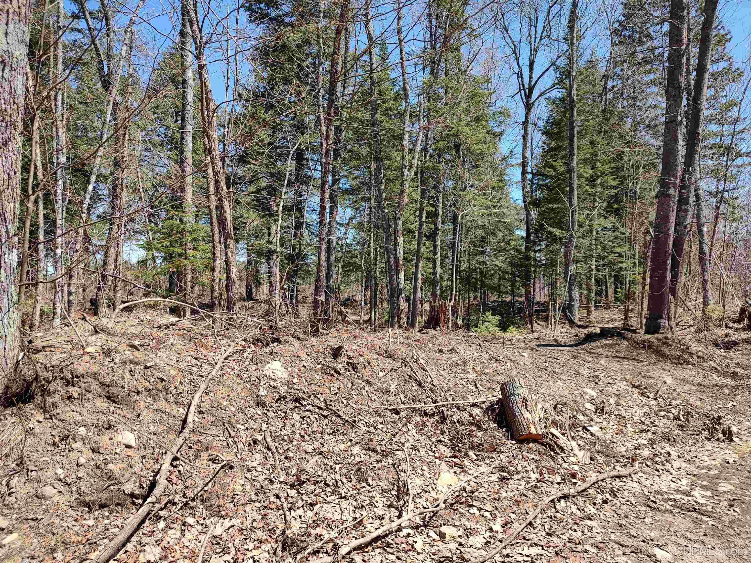 Tbd Black Creek (east) Road Property Photo 8