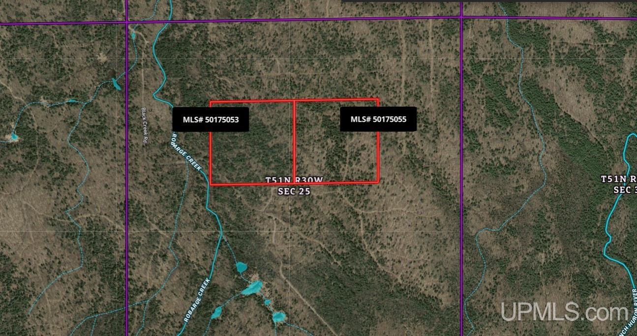 Tbd Black Creek (east) Road Property Photo 13