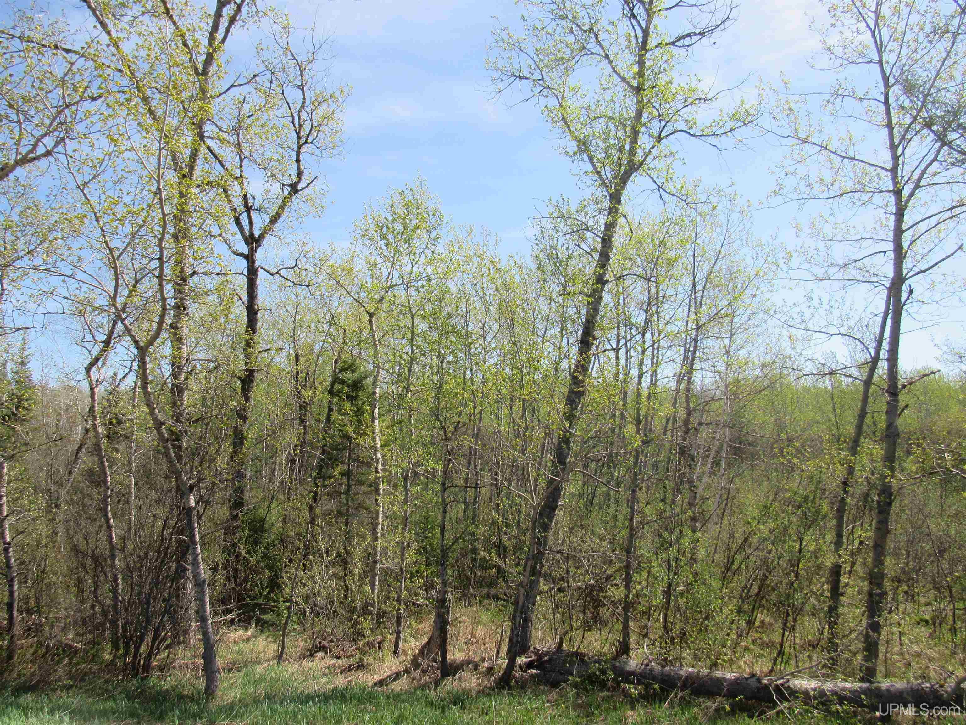 Tbd Us 141 Road Property Photo 1