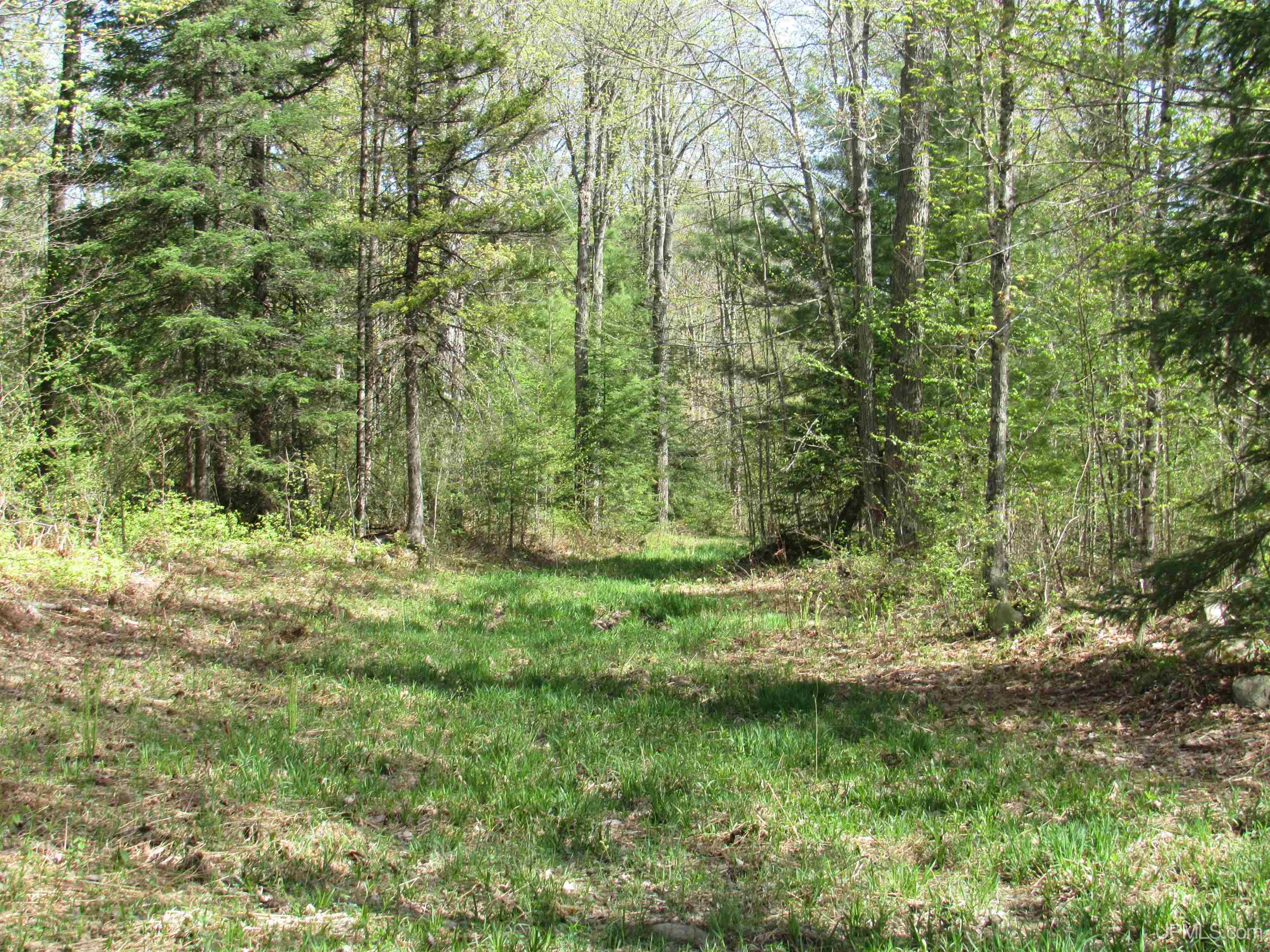 Tbd Us 141 Road Property Photo 2