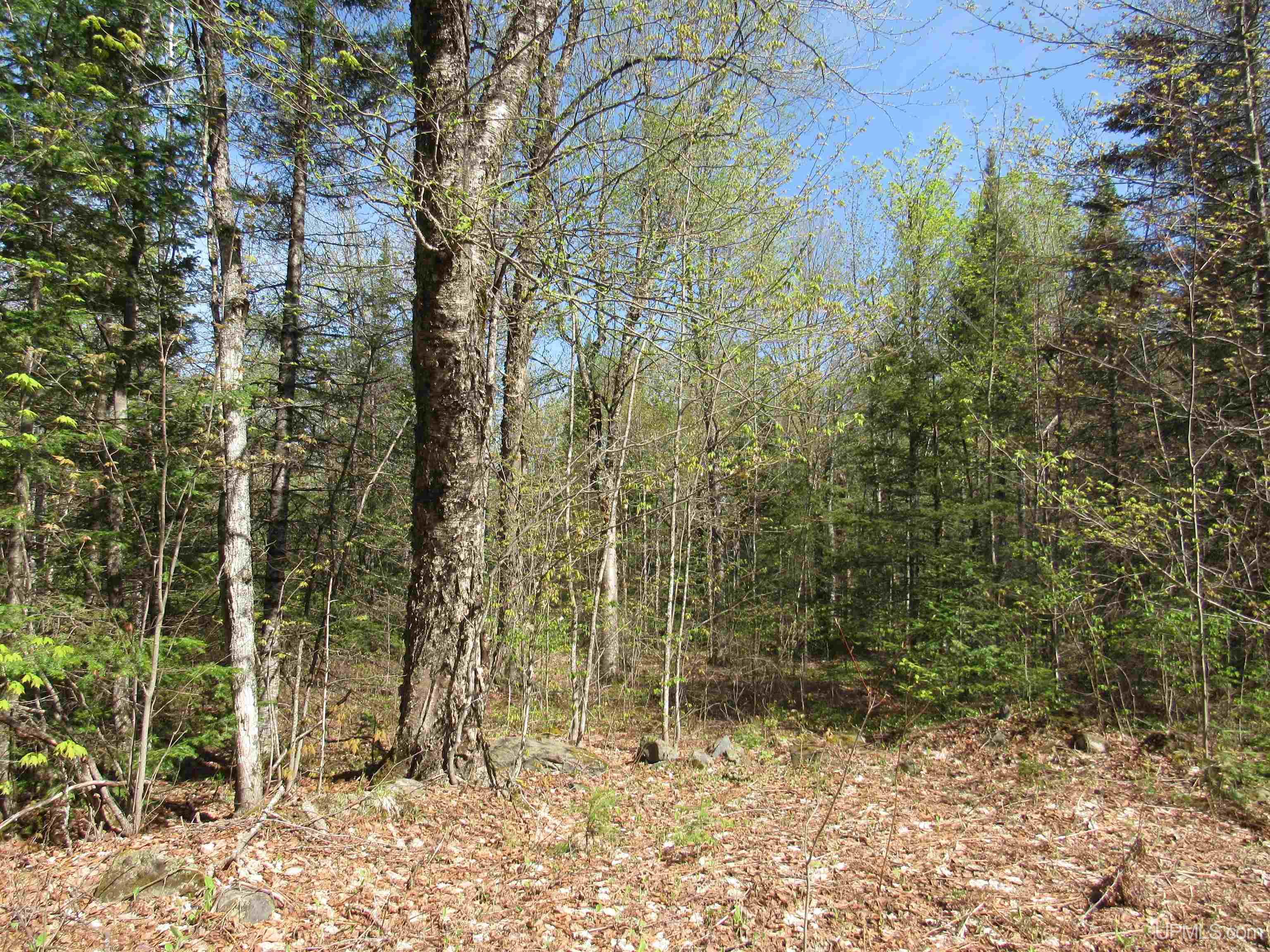Tbd Us 141 Road Property Photo 3