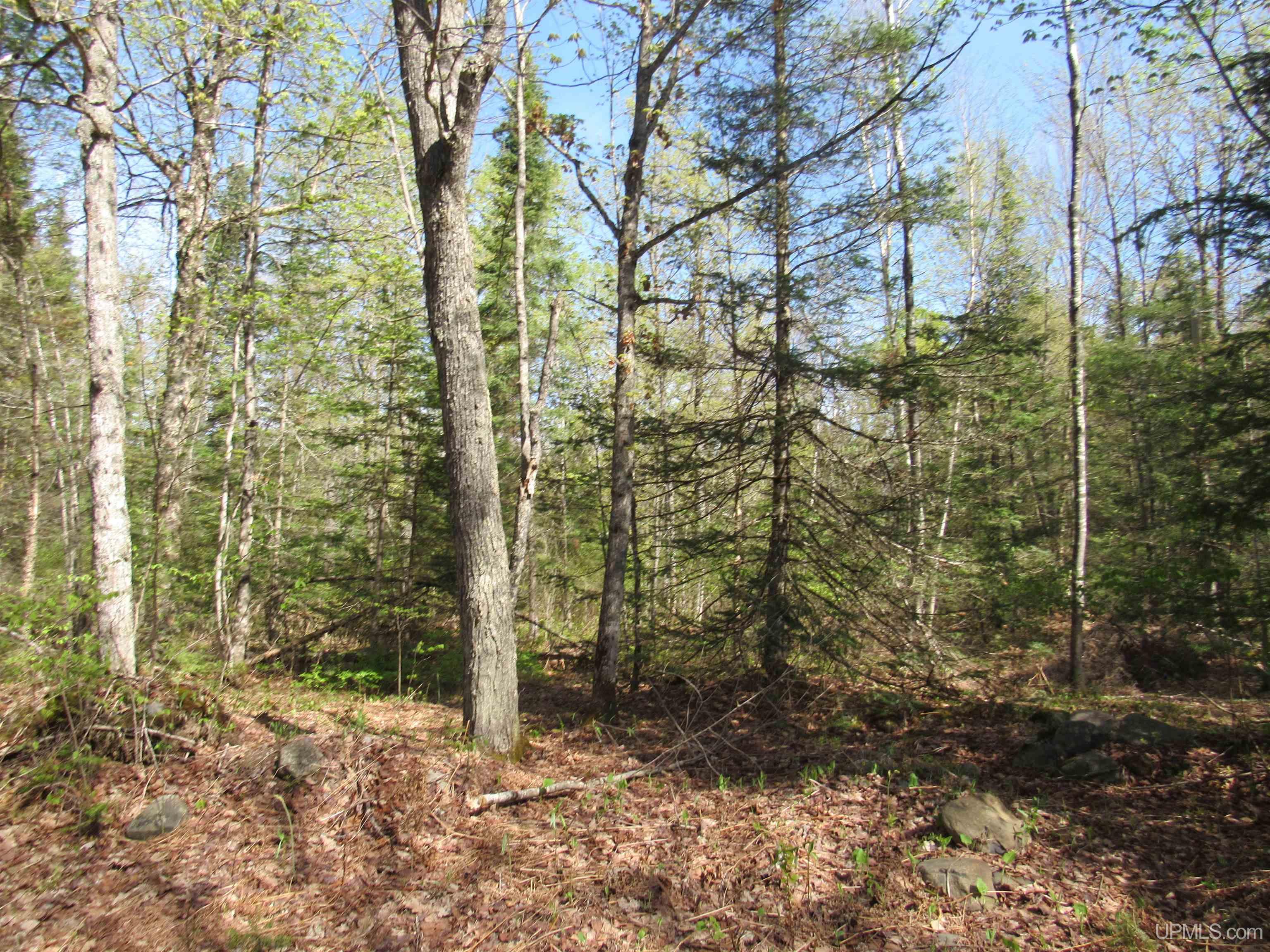 Tbd Us 141 Road Property Photo 4