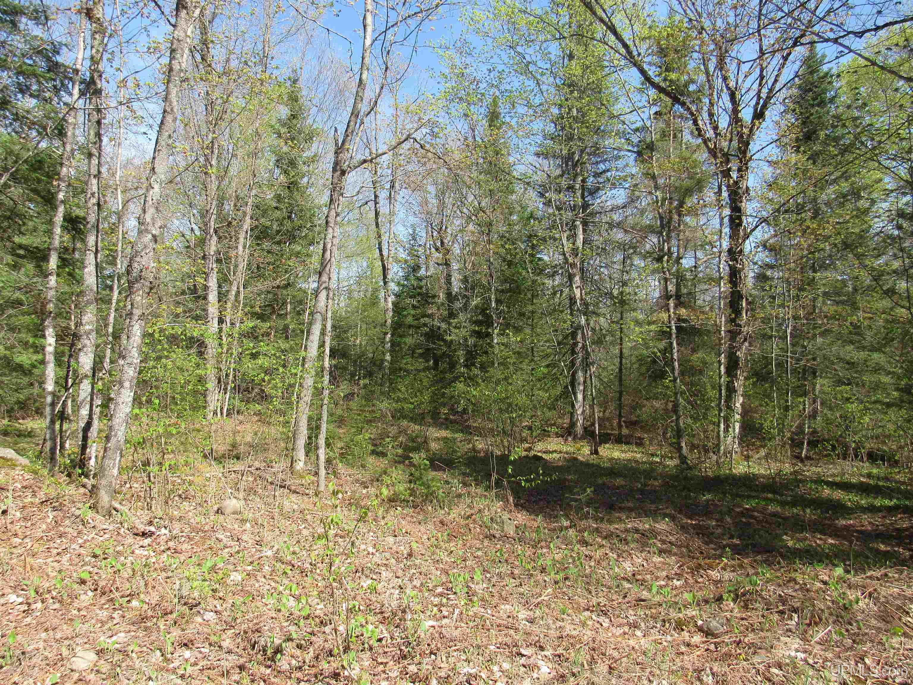 Tbd Us 141 Road Property Photo 5