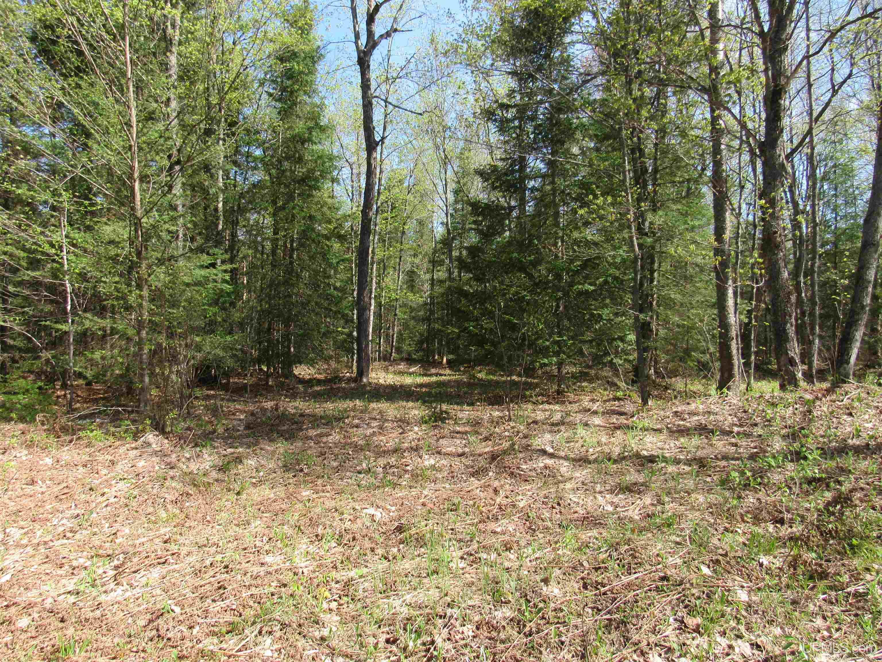Tbd Us 141 Road Property Photo 6