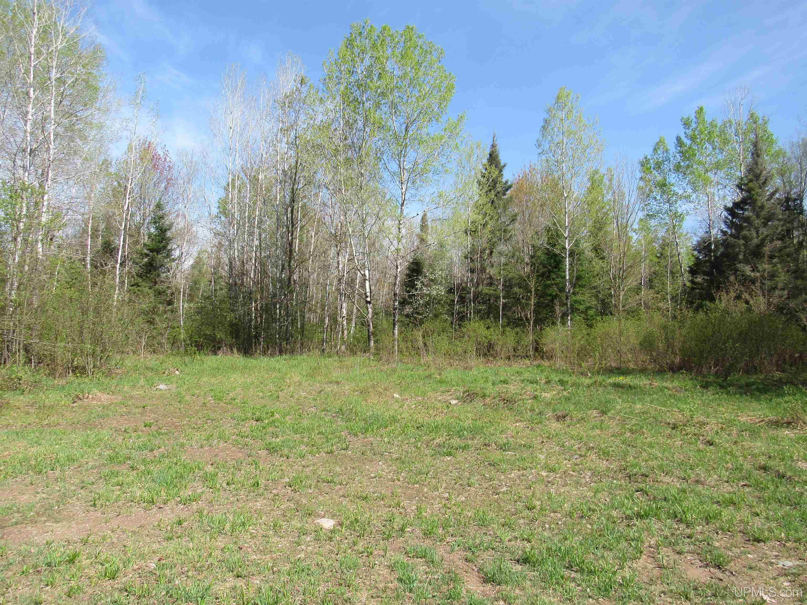 Tbd Us 141 Road Property Photo 7