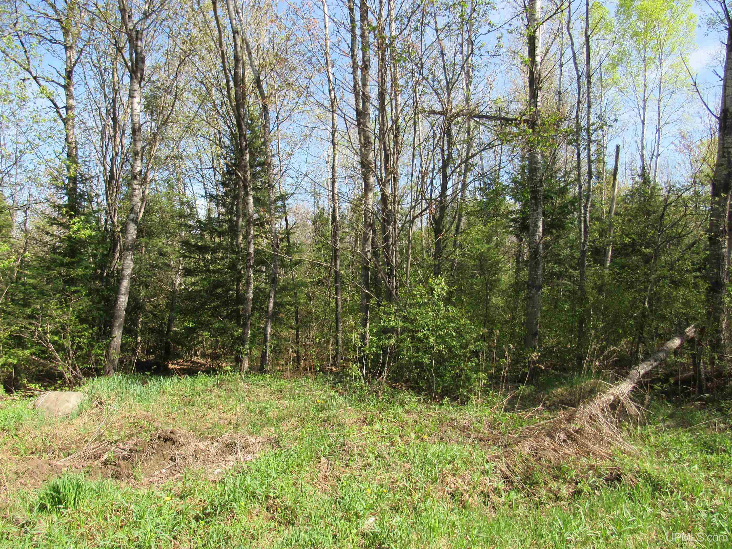 Tbd Us 141 Road Property Photo 8