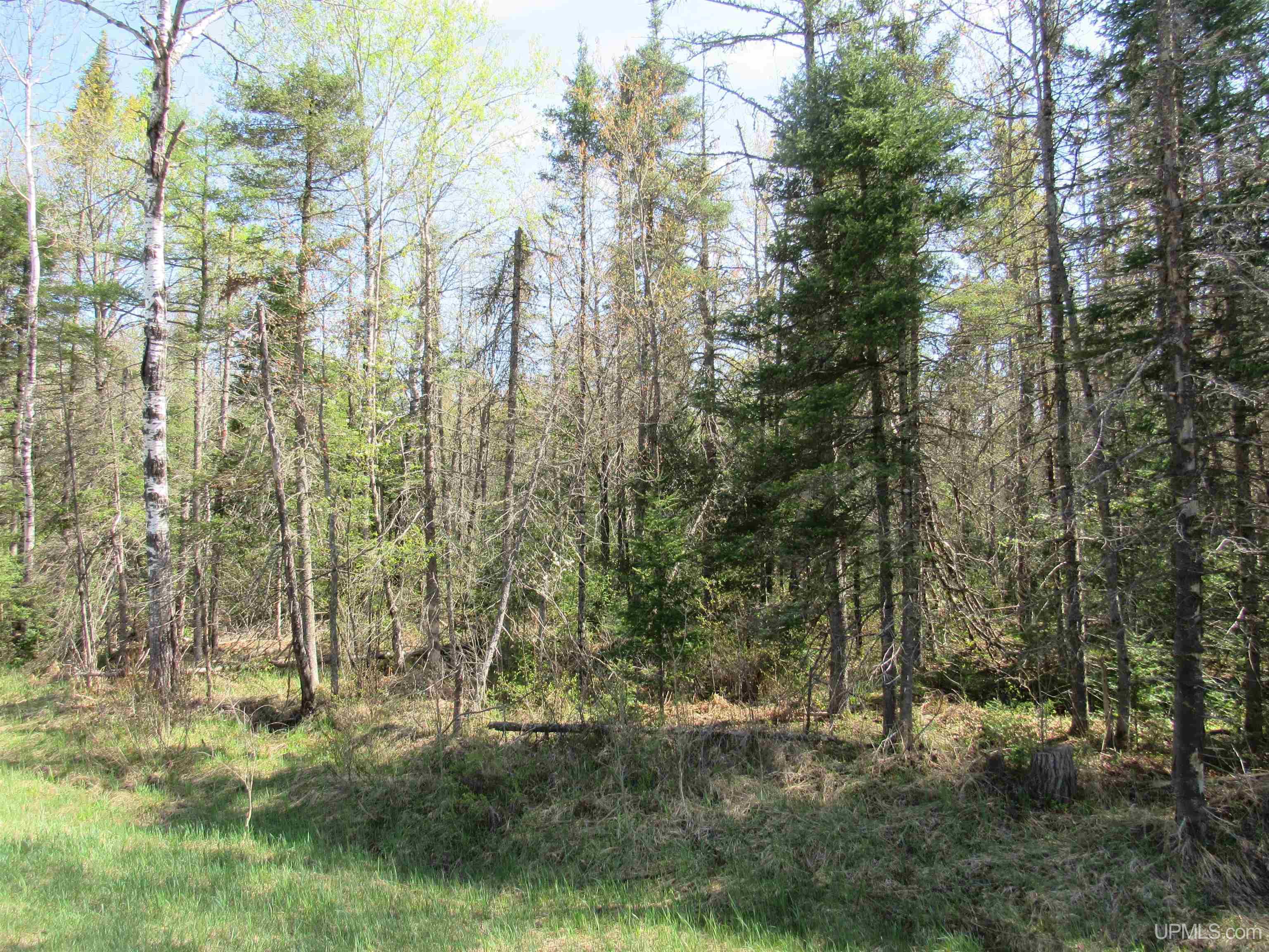 Tbd Us 141 Road Property Photo 9