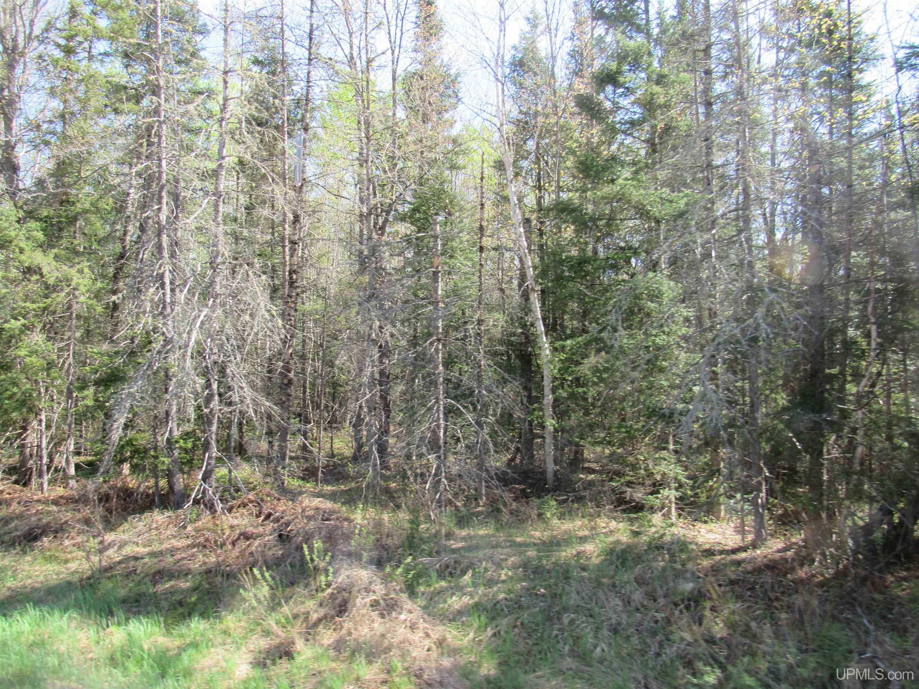 Tbd Us 141 Road Property Photo 10