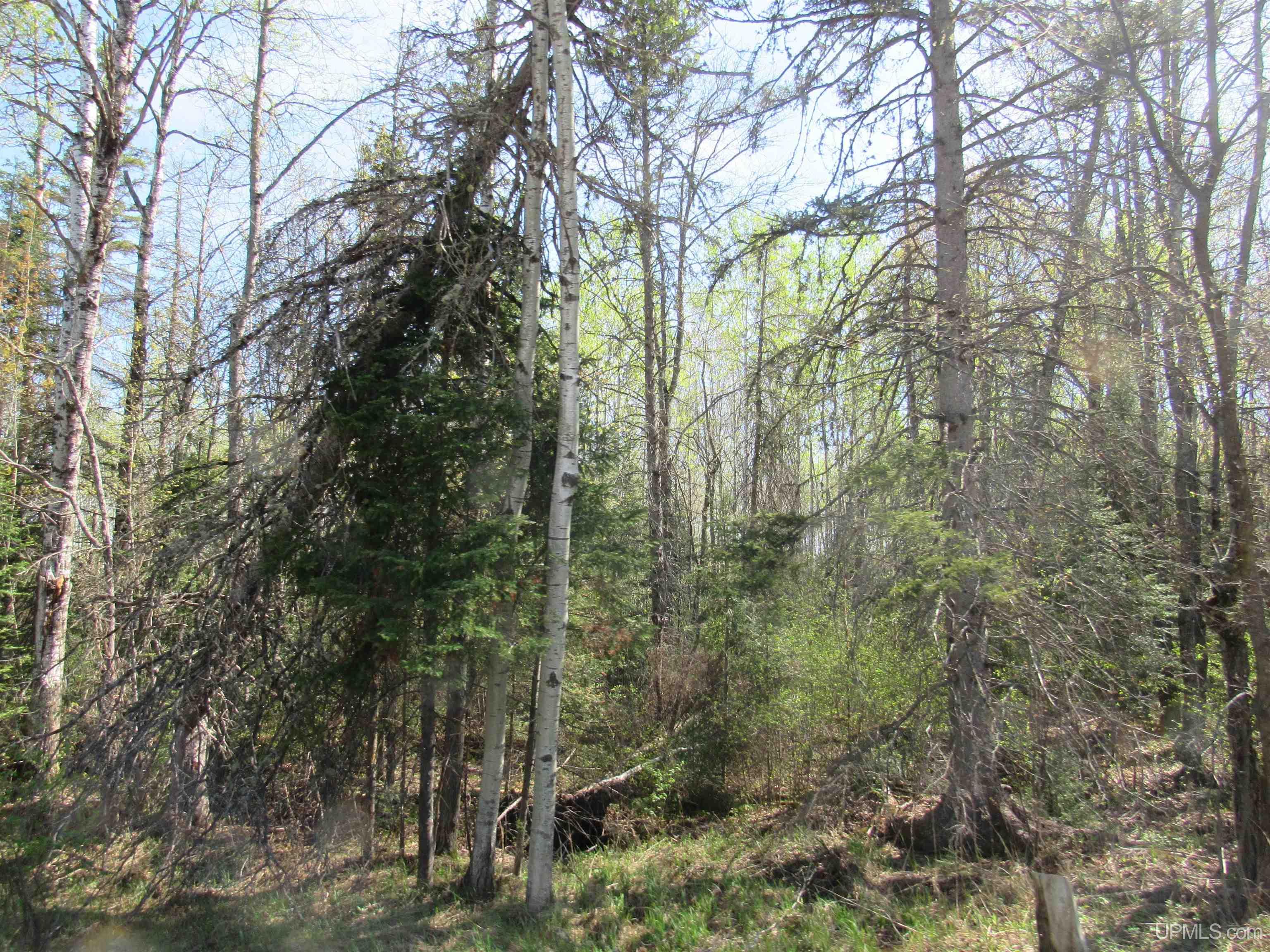 Tbd Us 141 Road Property Photo 11