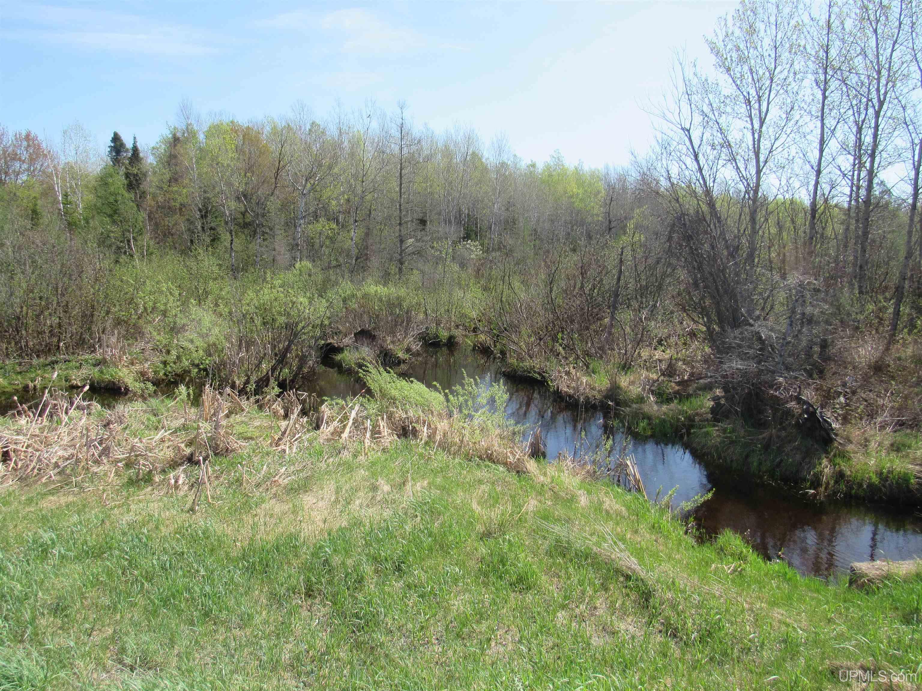 Tbd Us 141 Road Property Photo 13