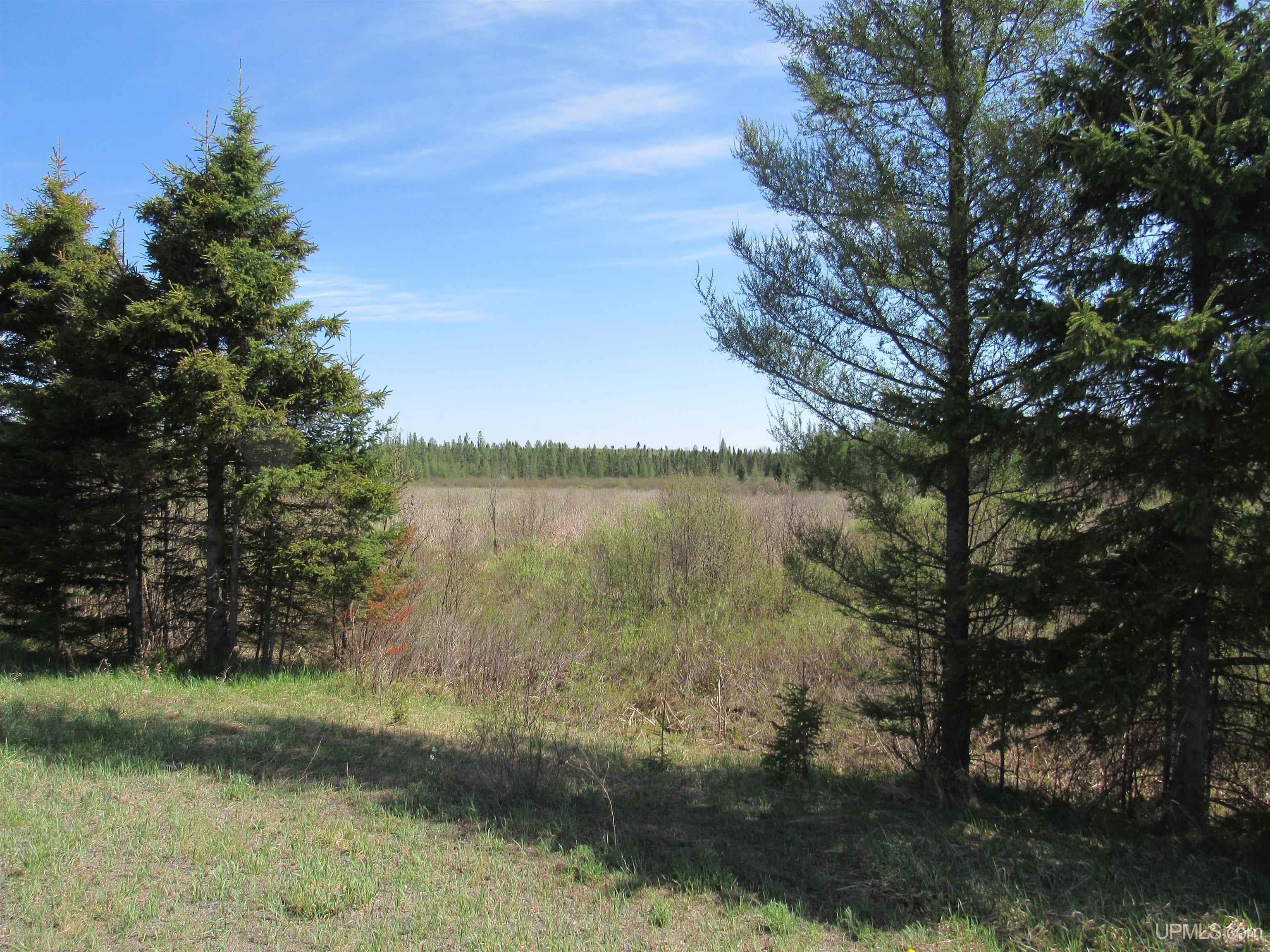 Tbd Us 141 Road Property Photo 14
