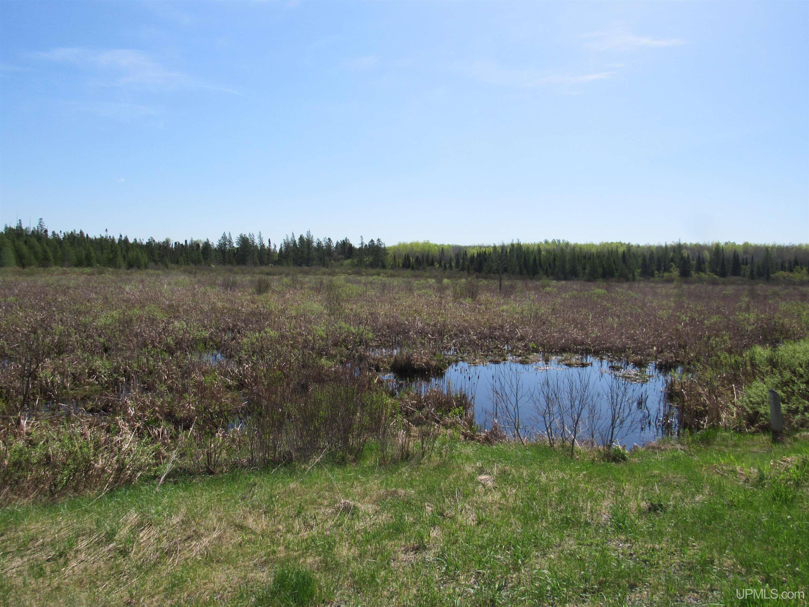 Tbd Us 141 Road Property Photo 15