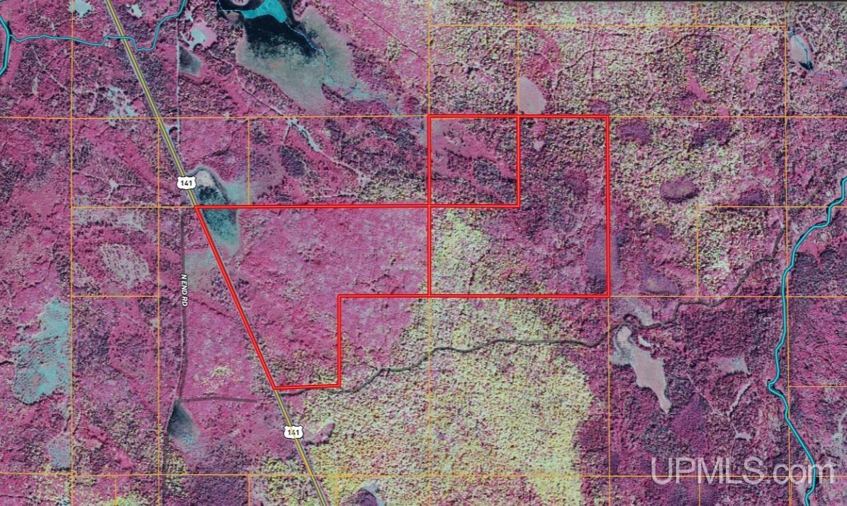 Tbd Us 141 Road Property Photo 19