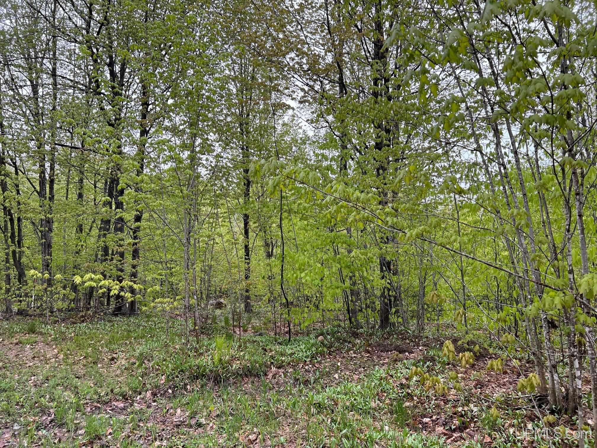 Tbd Harborview Lot 7 & 8 Drive Property Photo 2