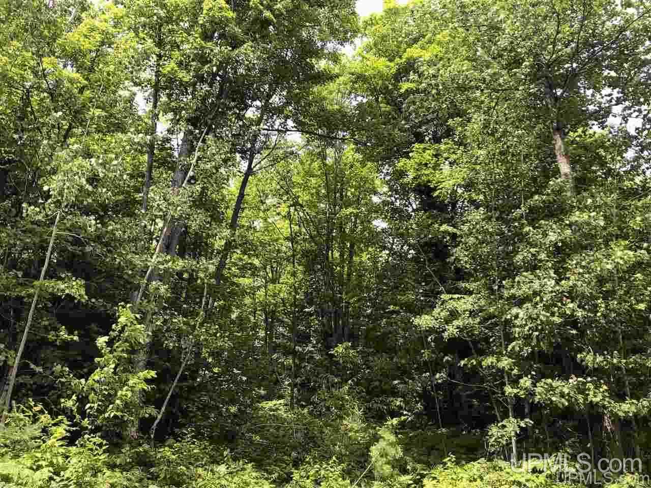 Lot H Maple Wood Lane Property Photo 1