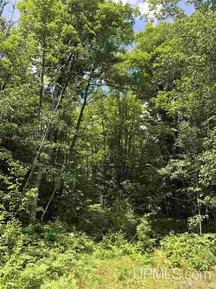 Lot H Maple Wood Lane Property Photo 2