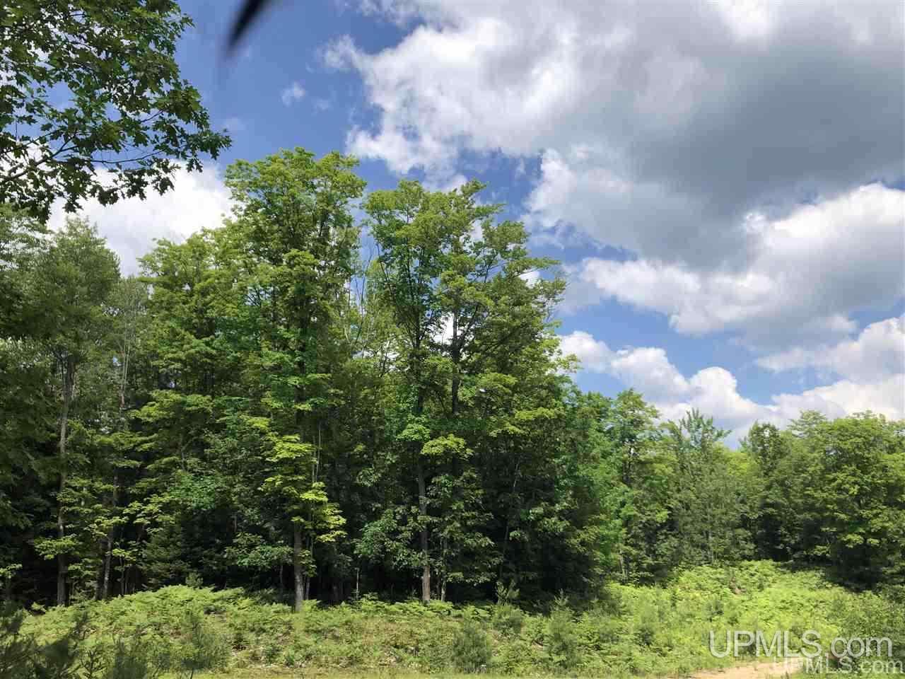 Lot G Maple Wood Lane Property Photo 1