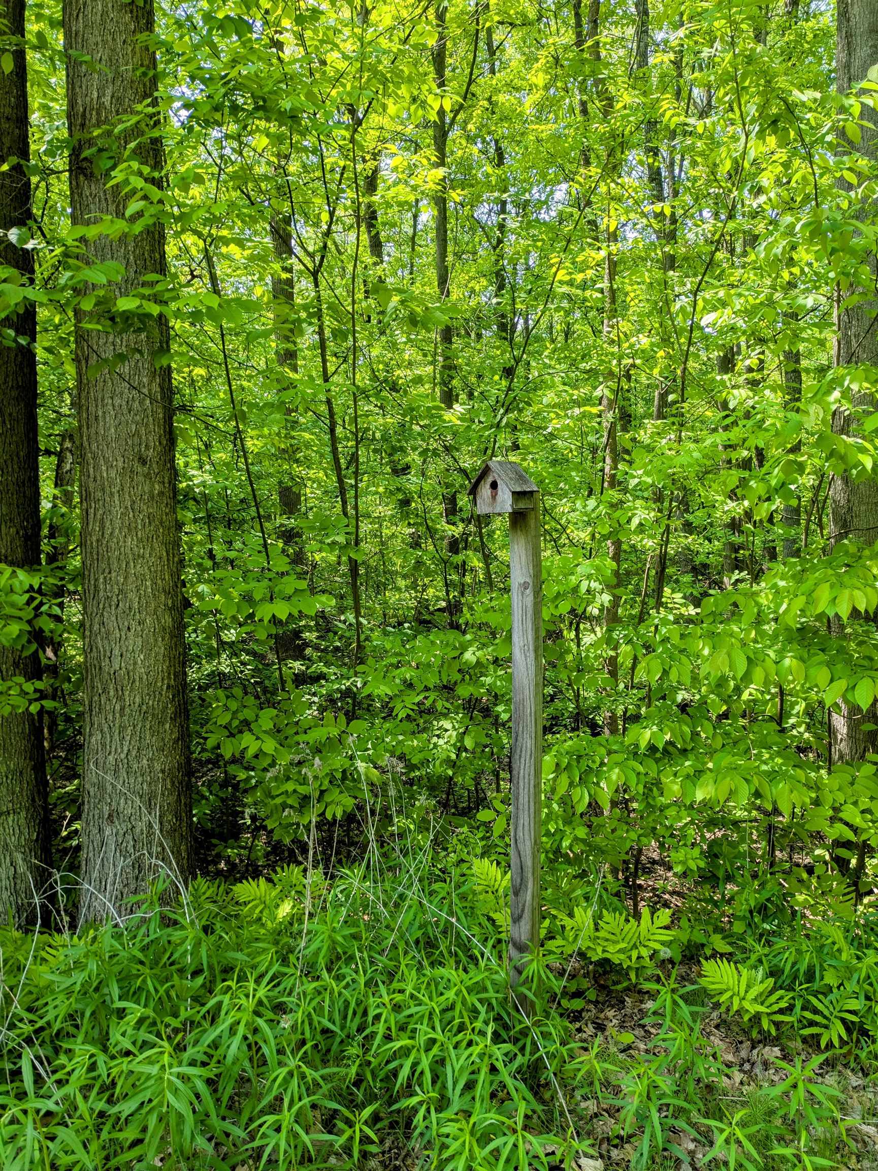 1165 E Maple Road Property Photo 2