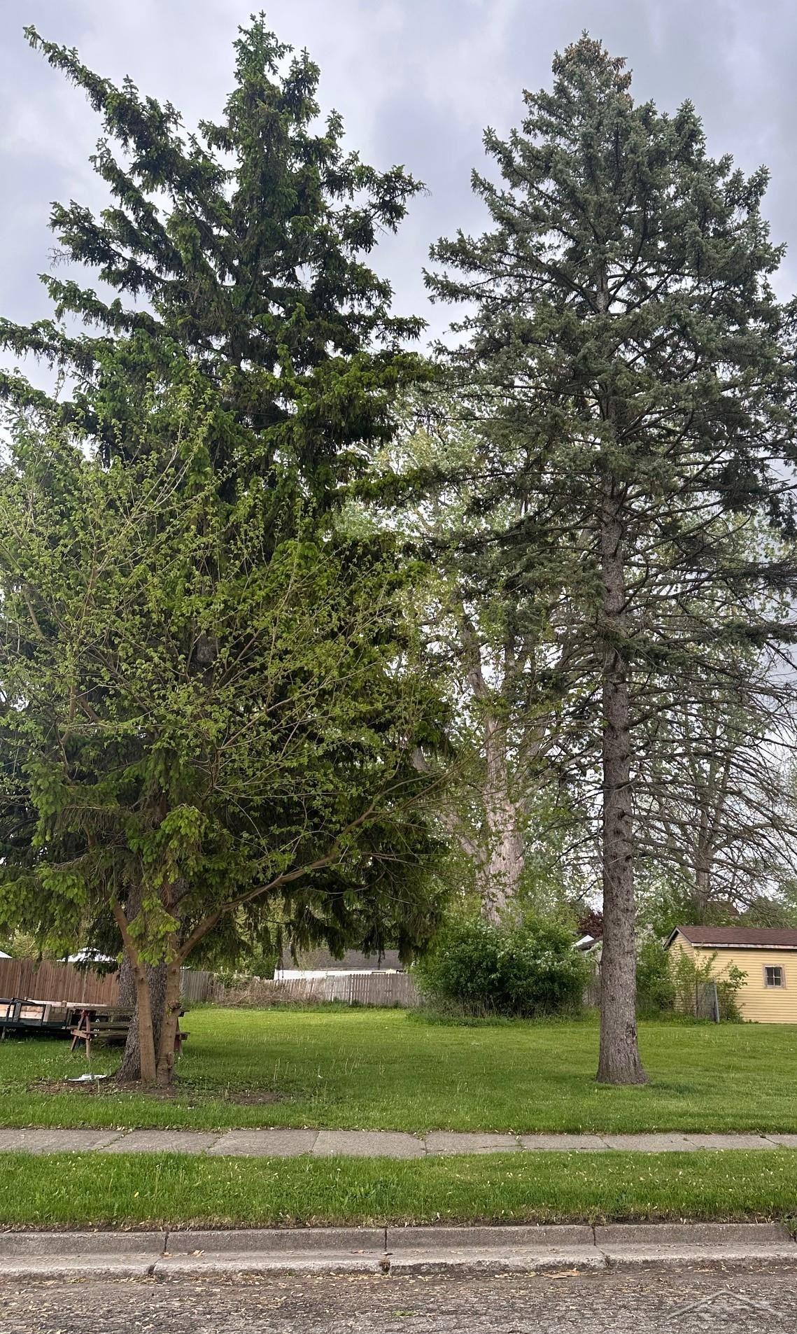 1716 Maple Street Property Photo