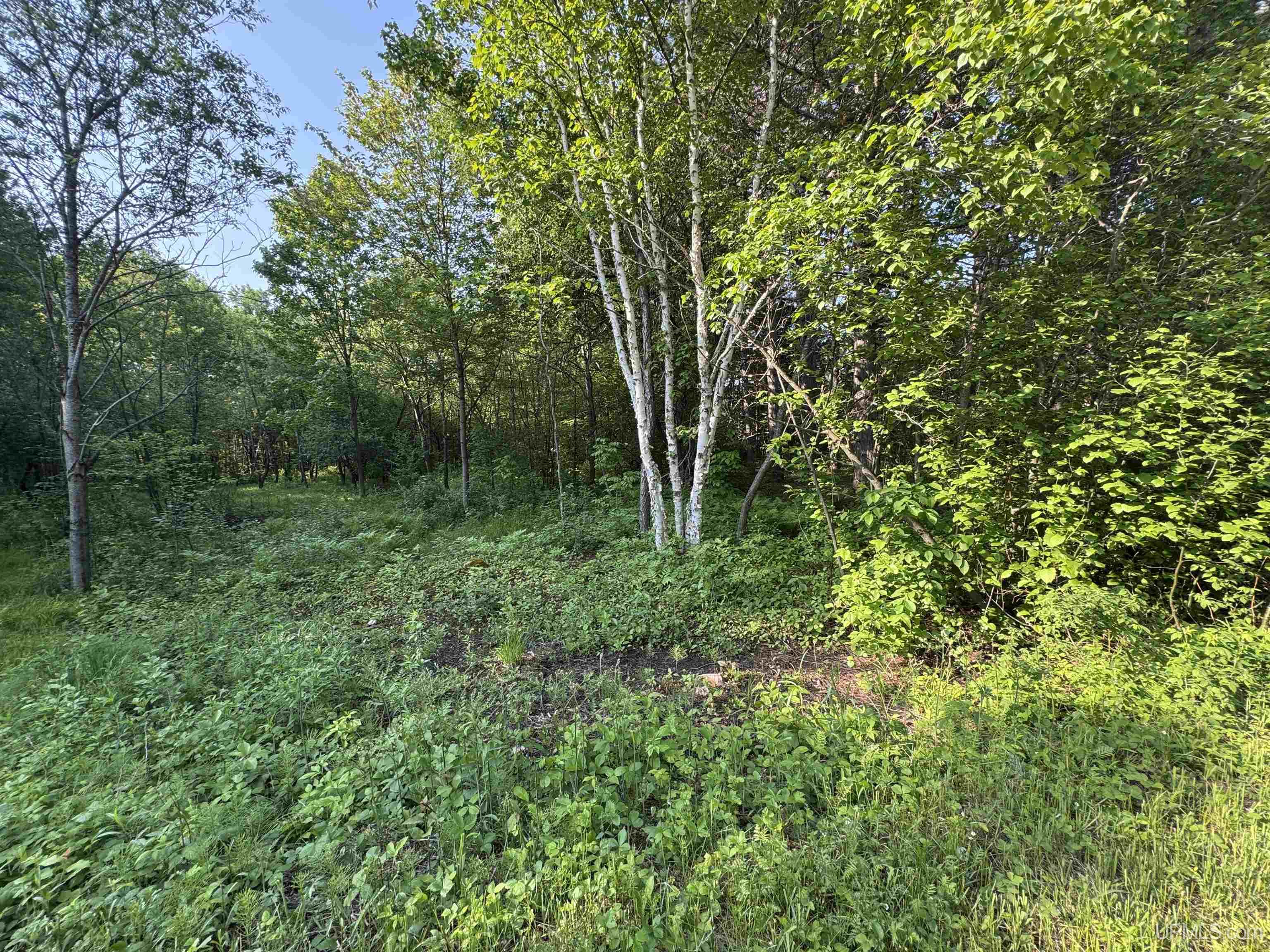 Lot 14 Summit View Drive
