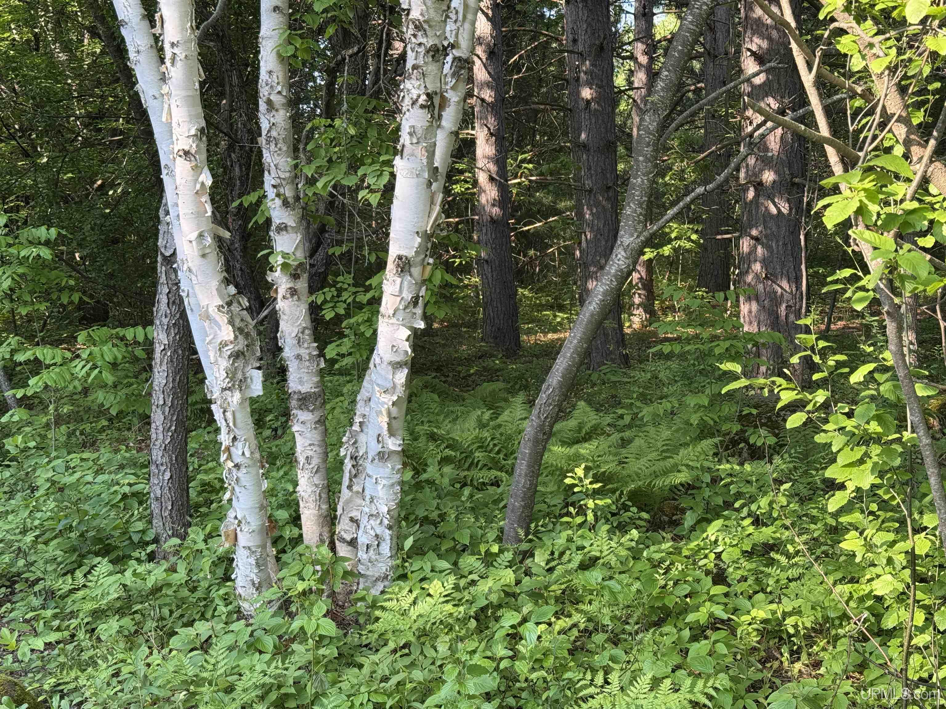 Lot 14 Summit View Drive Property Photo 2