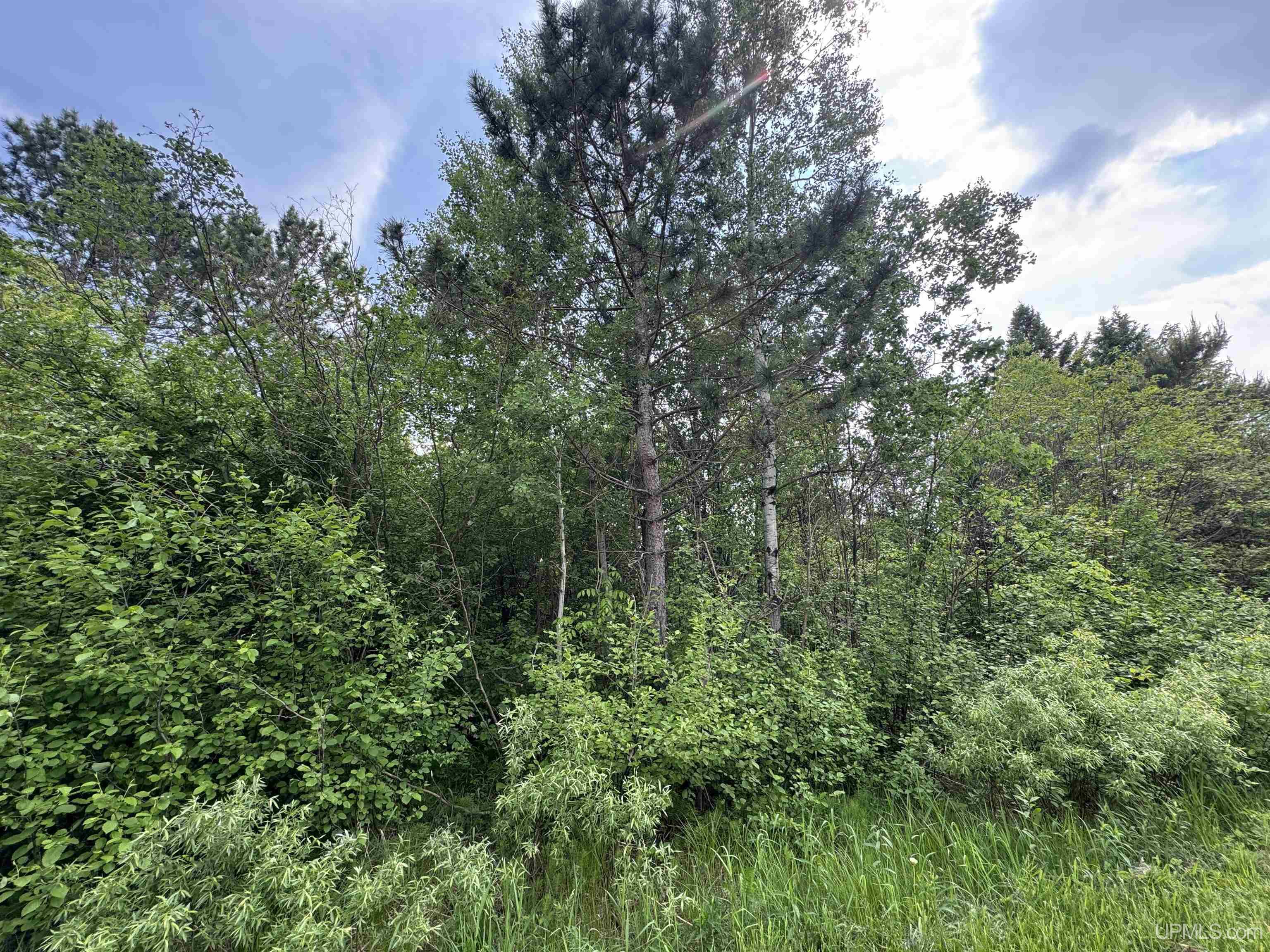 Lot 14 Summit View Drive Property Photo 3