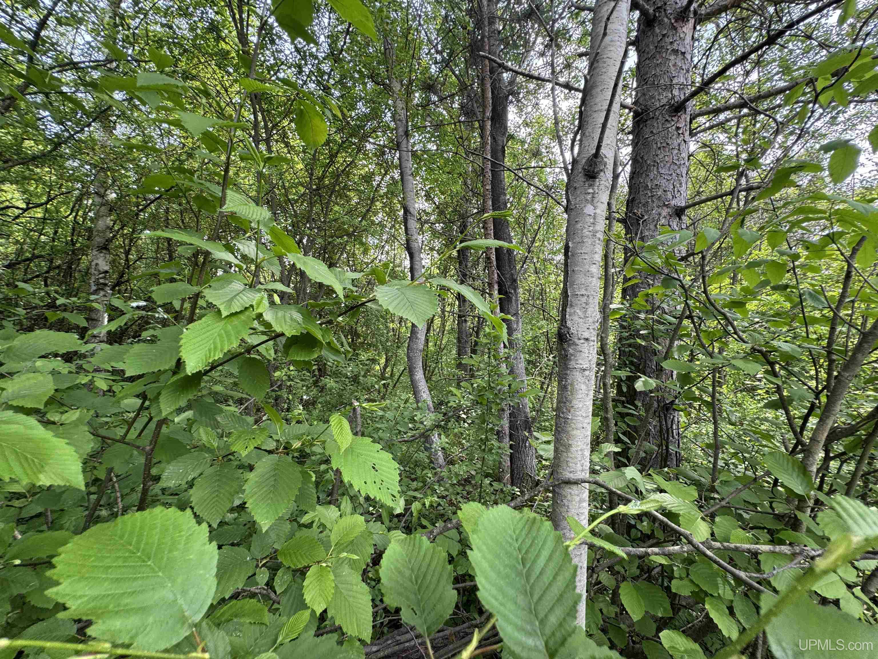 Lot 14 Summit View Drive Property Photo 4