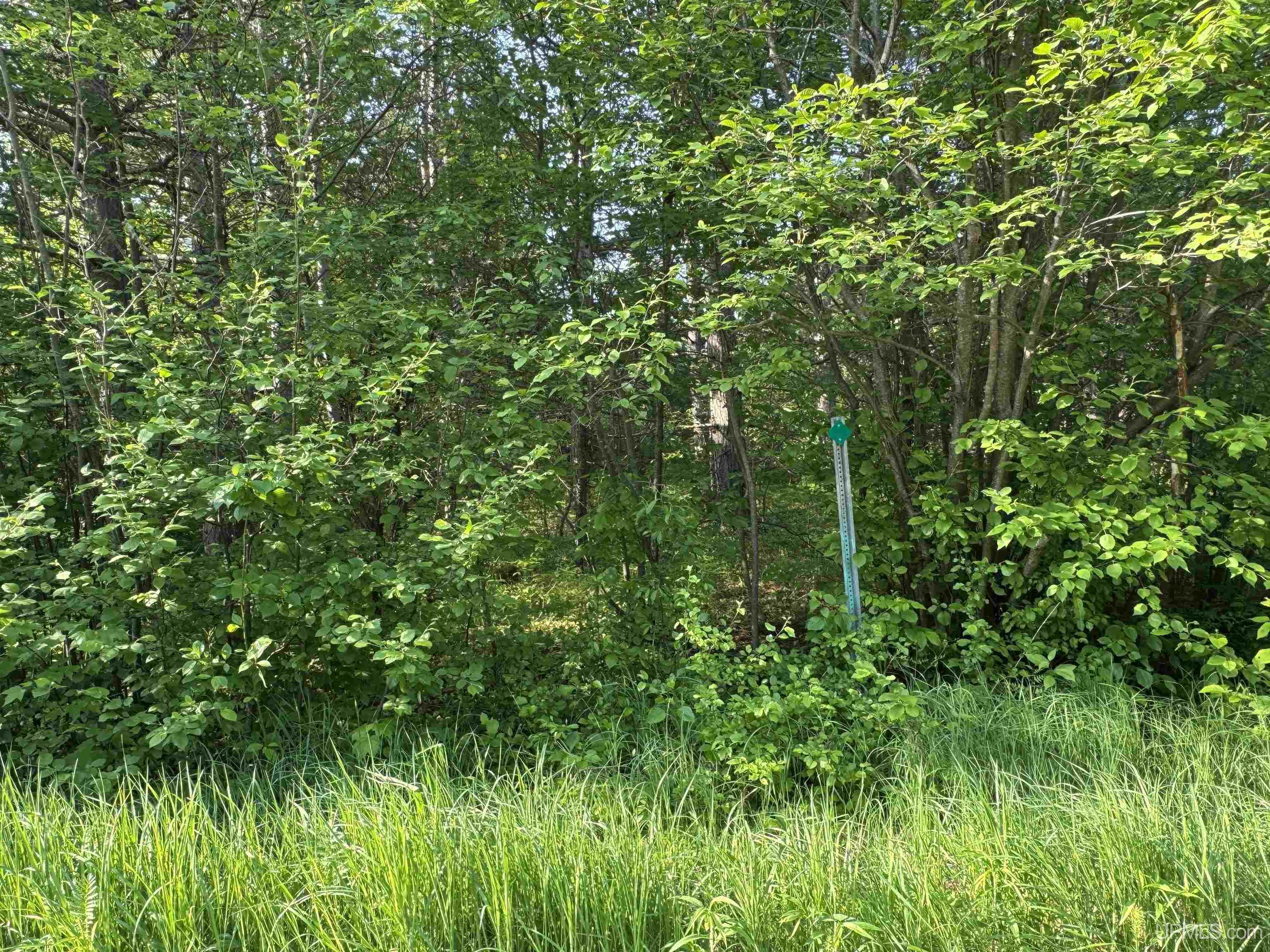 Lot 14 Summit View Drive Property Photo 5