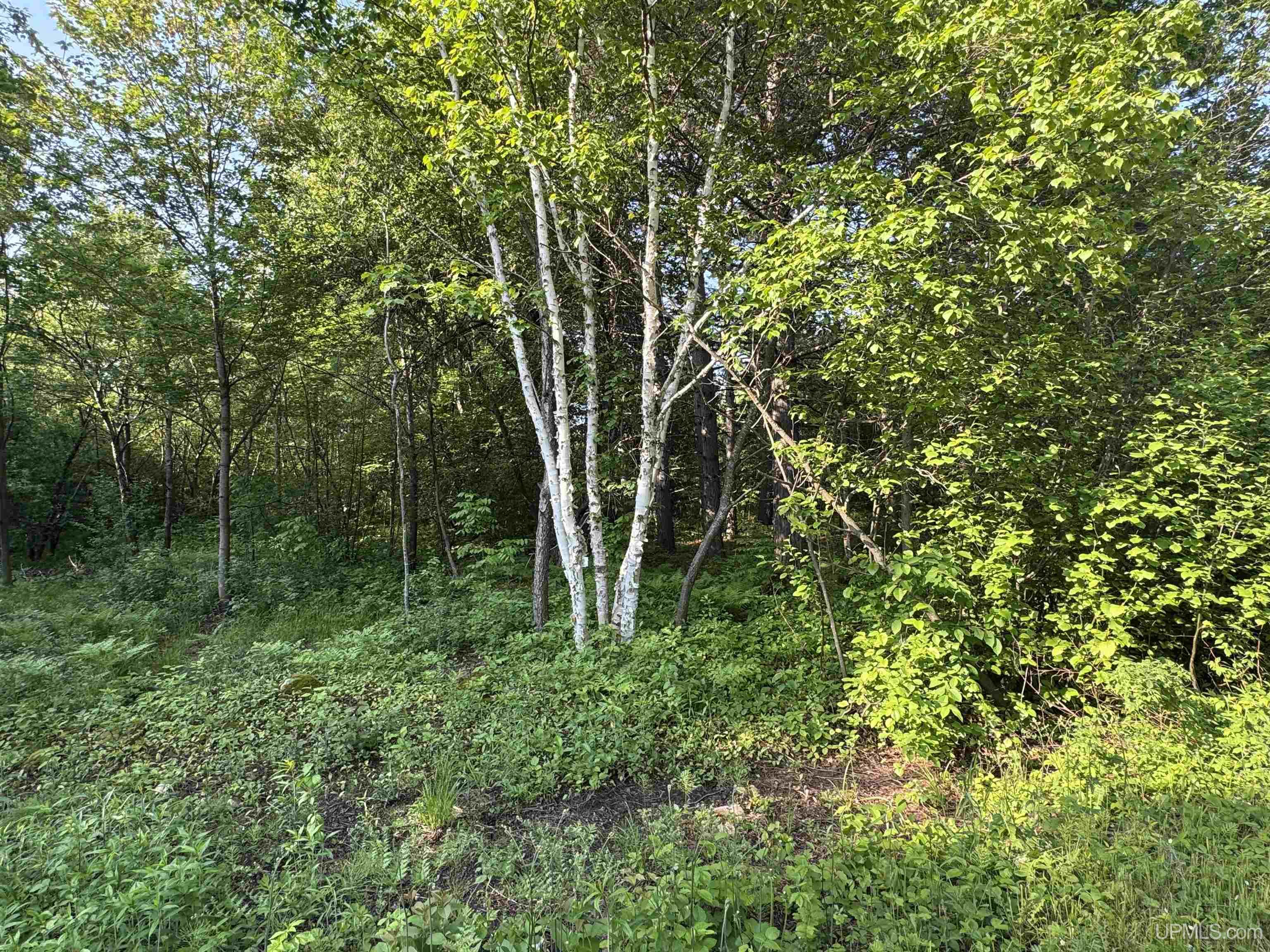 Lot 14 Summit View Drive Property Photo 6