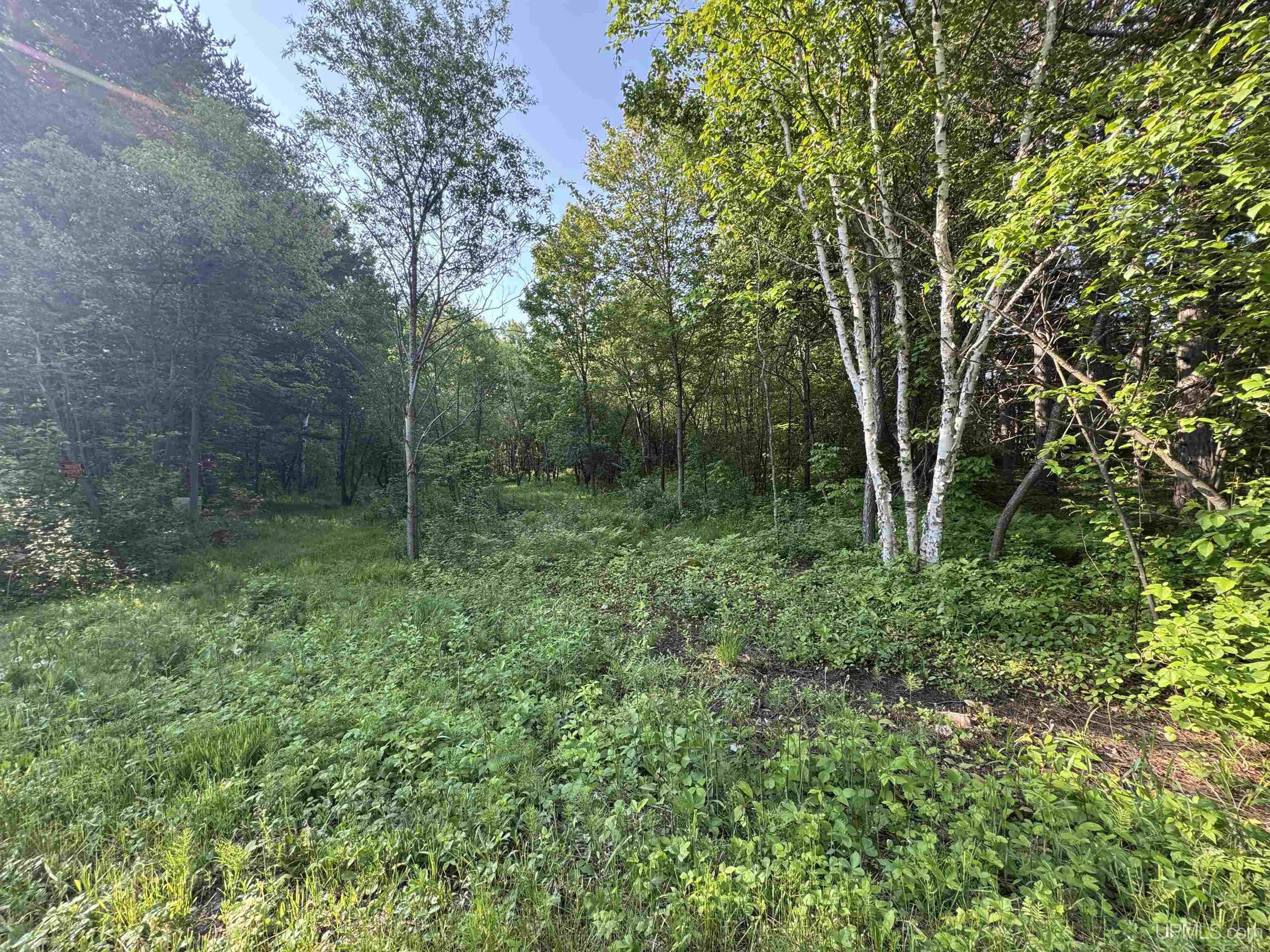 Lot 14 Summit View Drive Property Photo 8